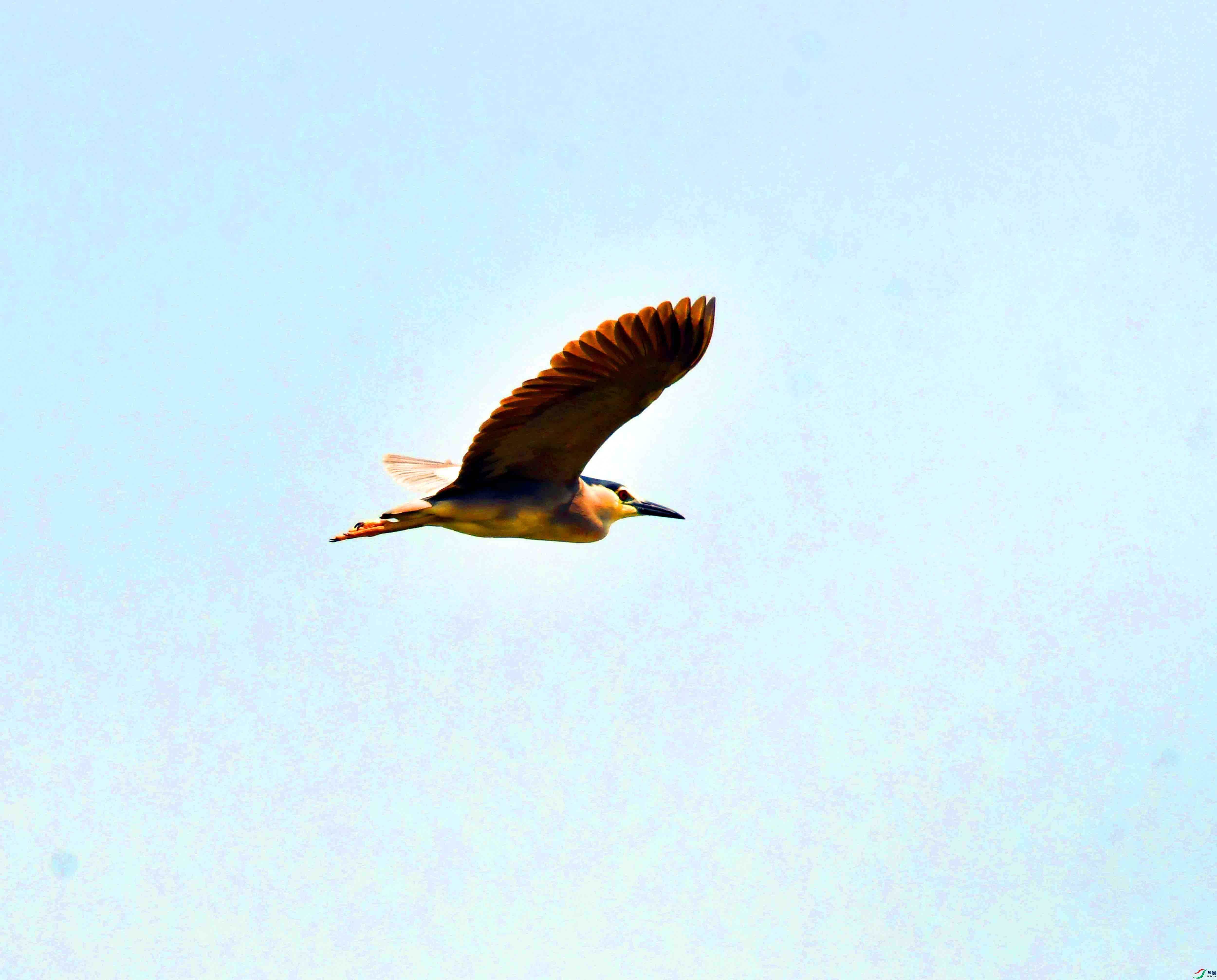 DSC_5124.JPG