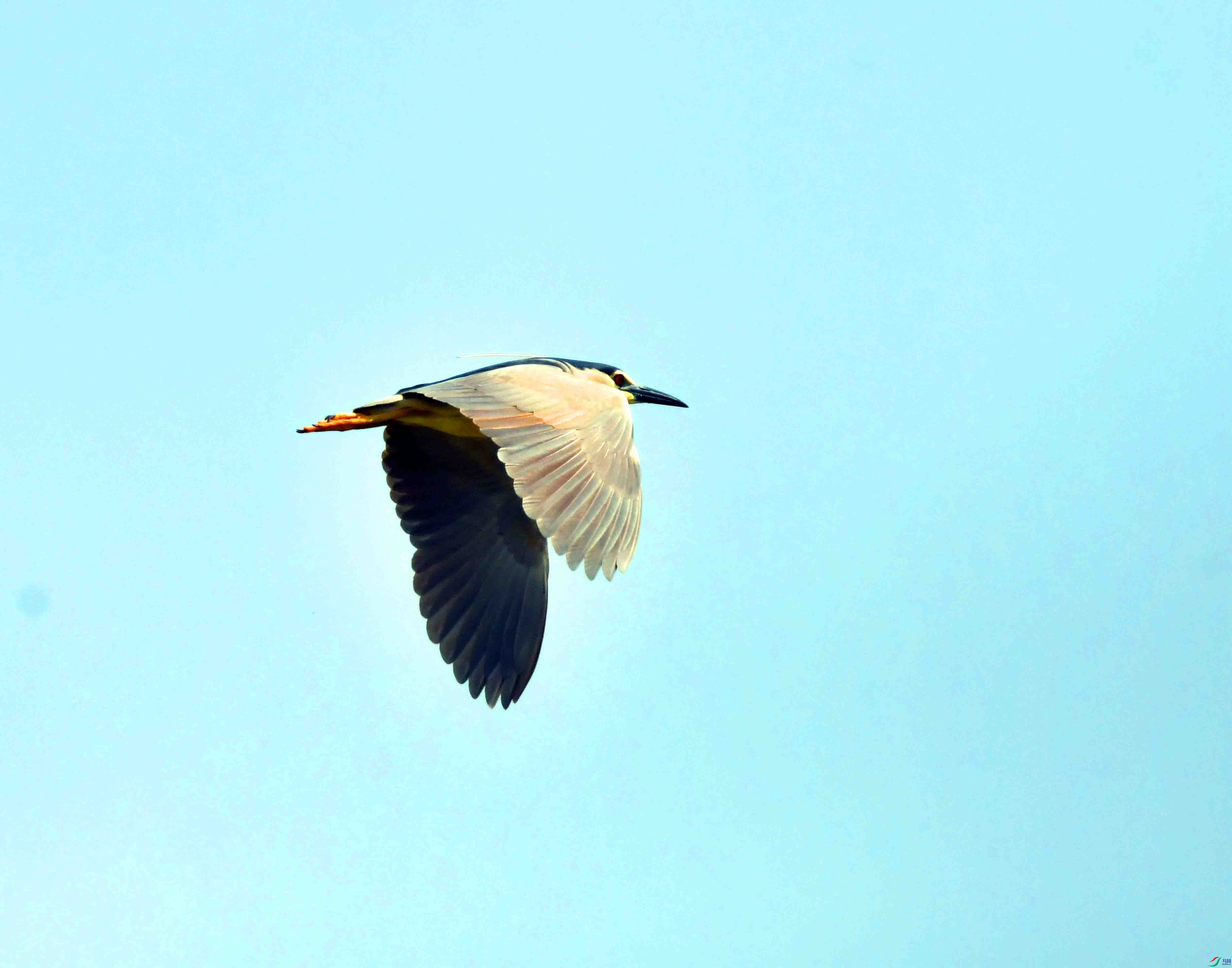 DSC_5125.JPG