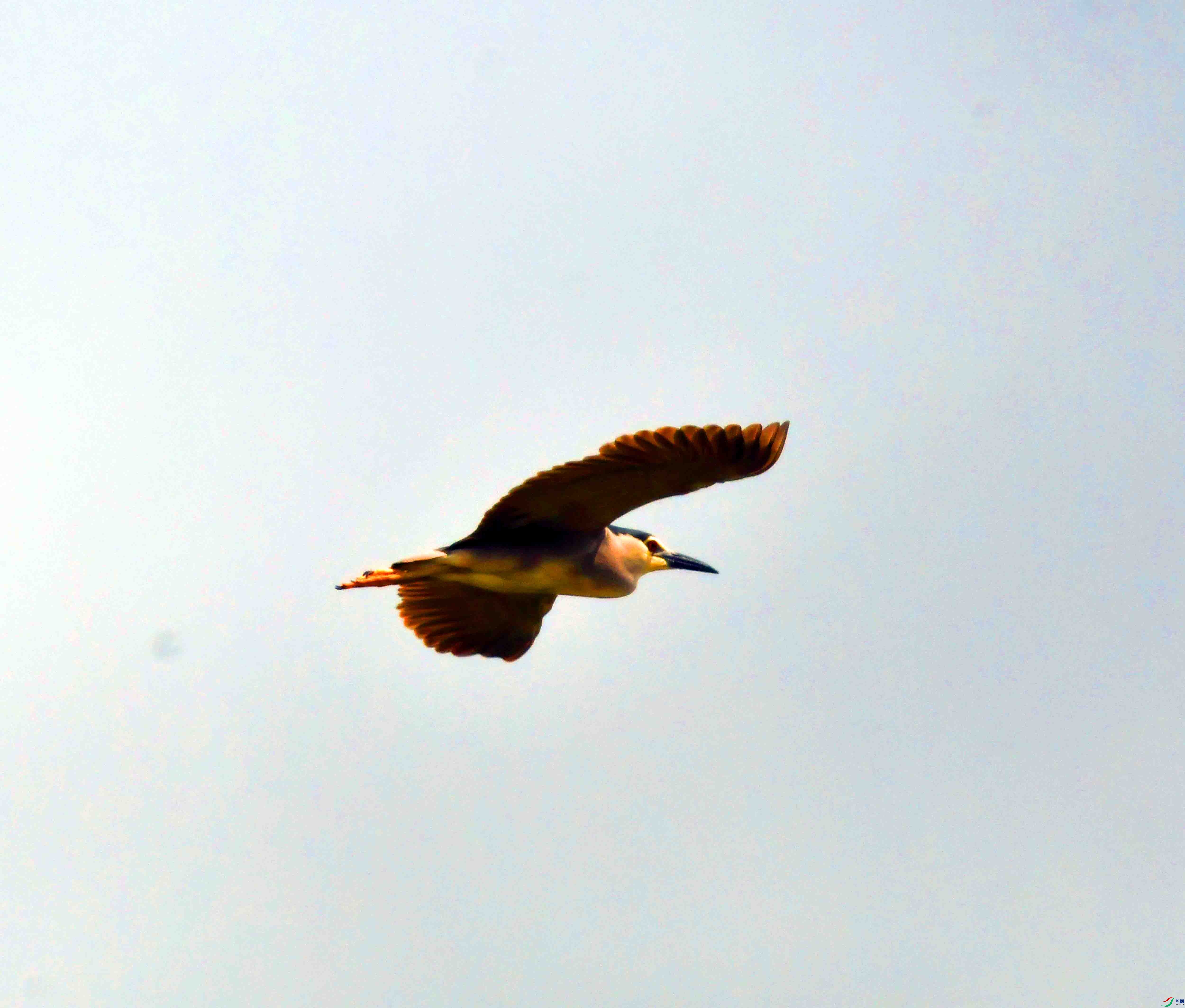 DSC_5127.JPG