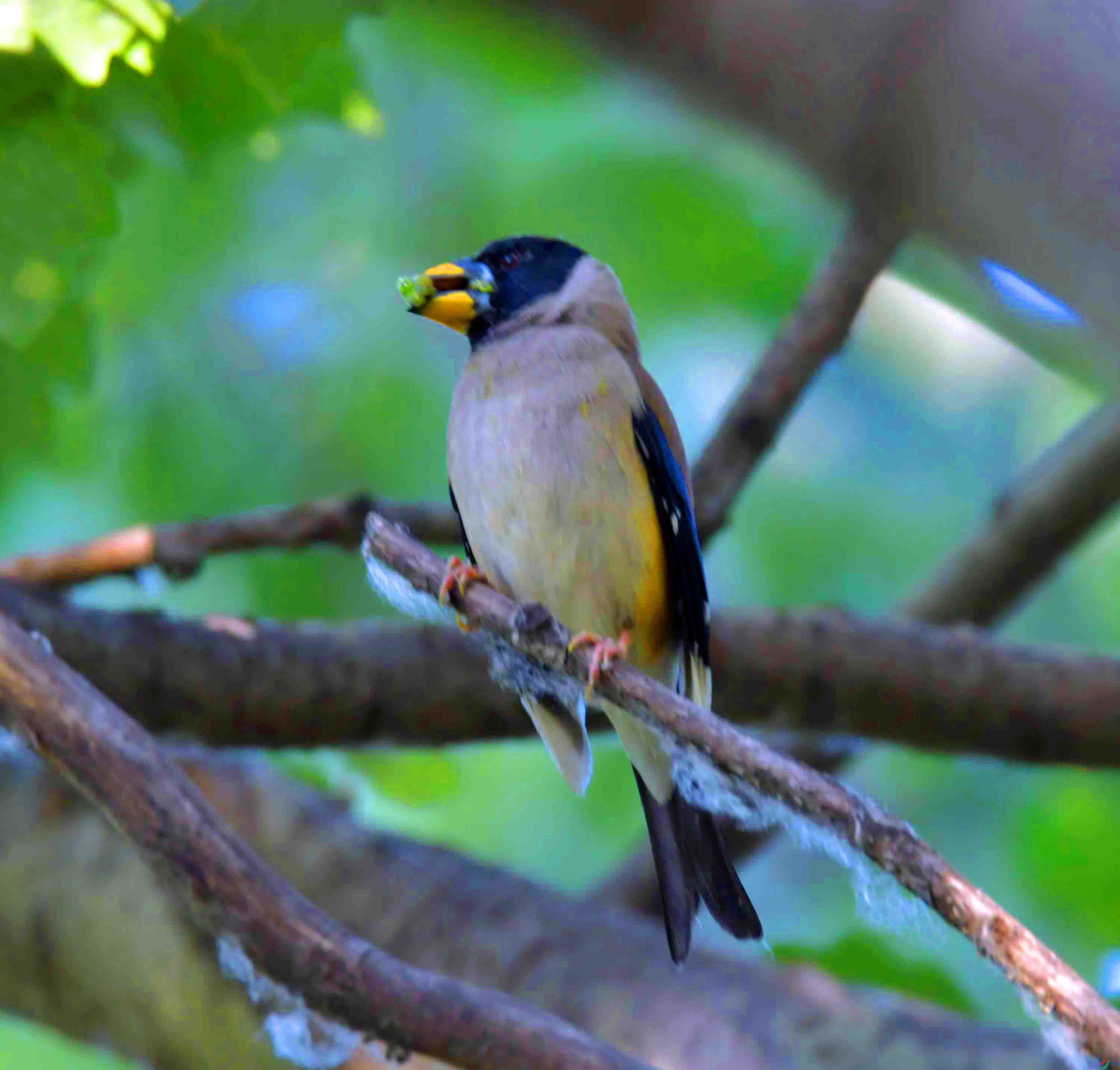 DSC_6687.JPG