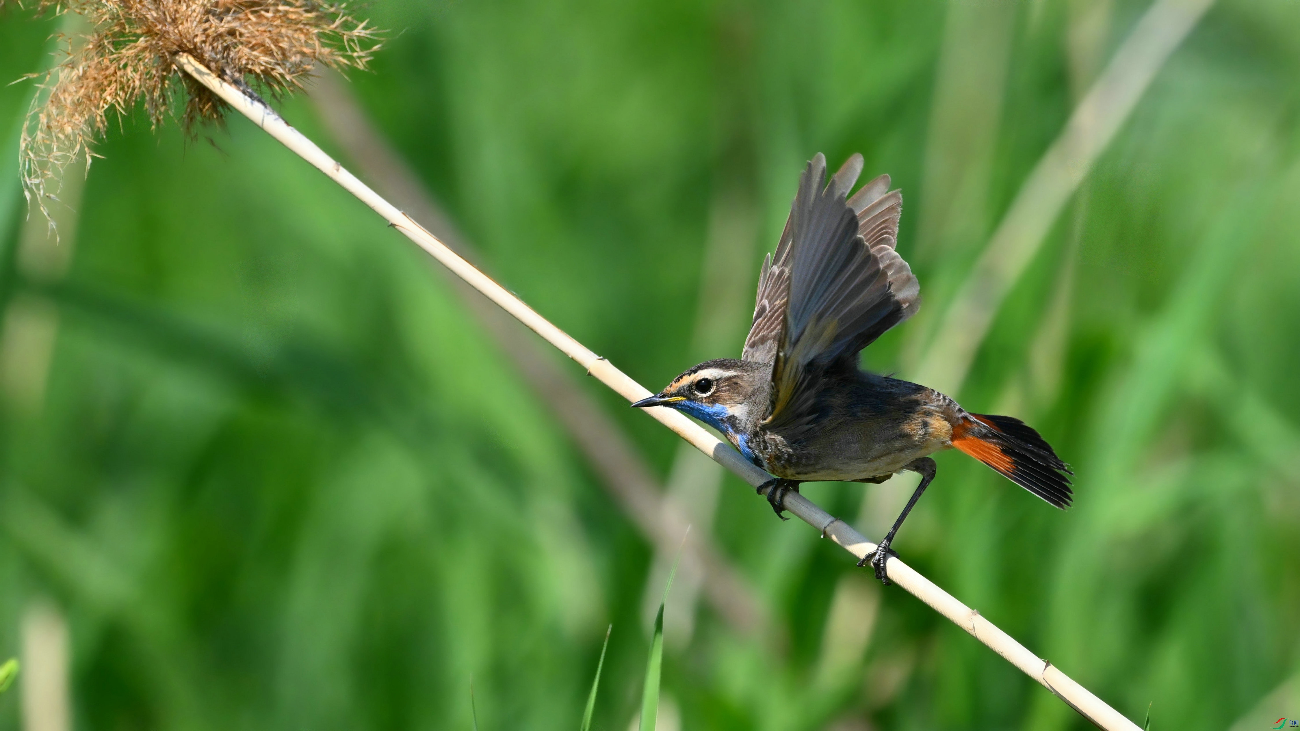 DSC_5197.JPG