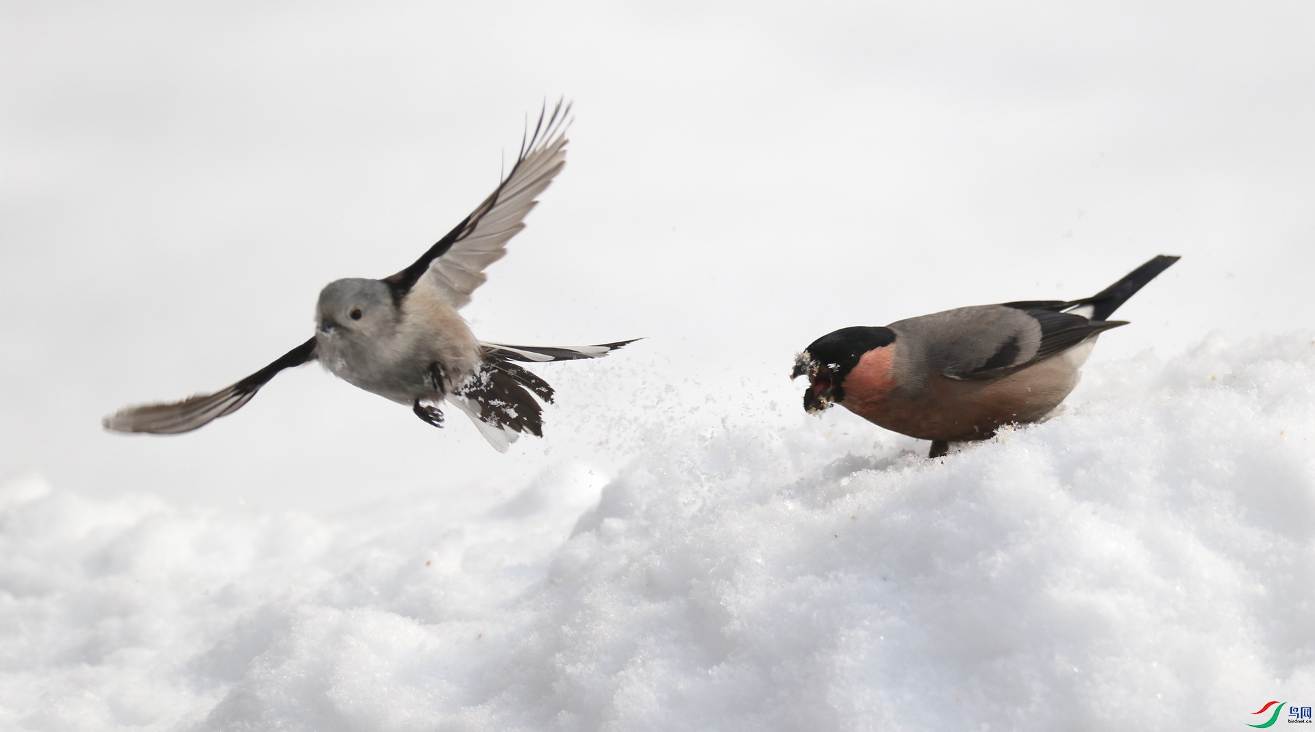 0G1A6334 ����.jpg