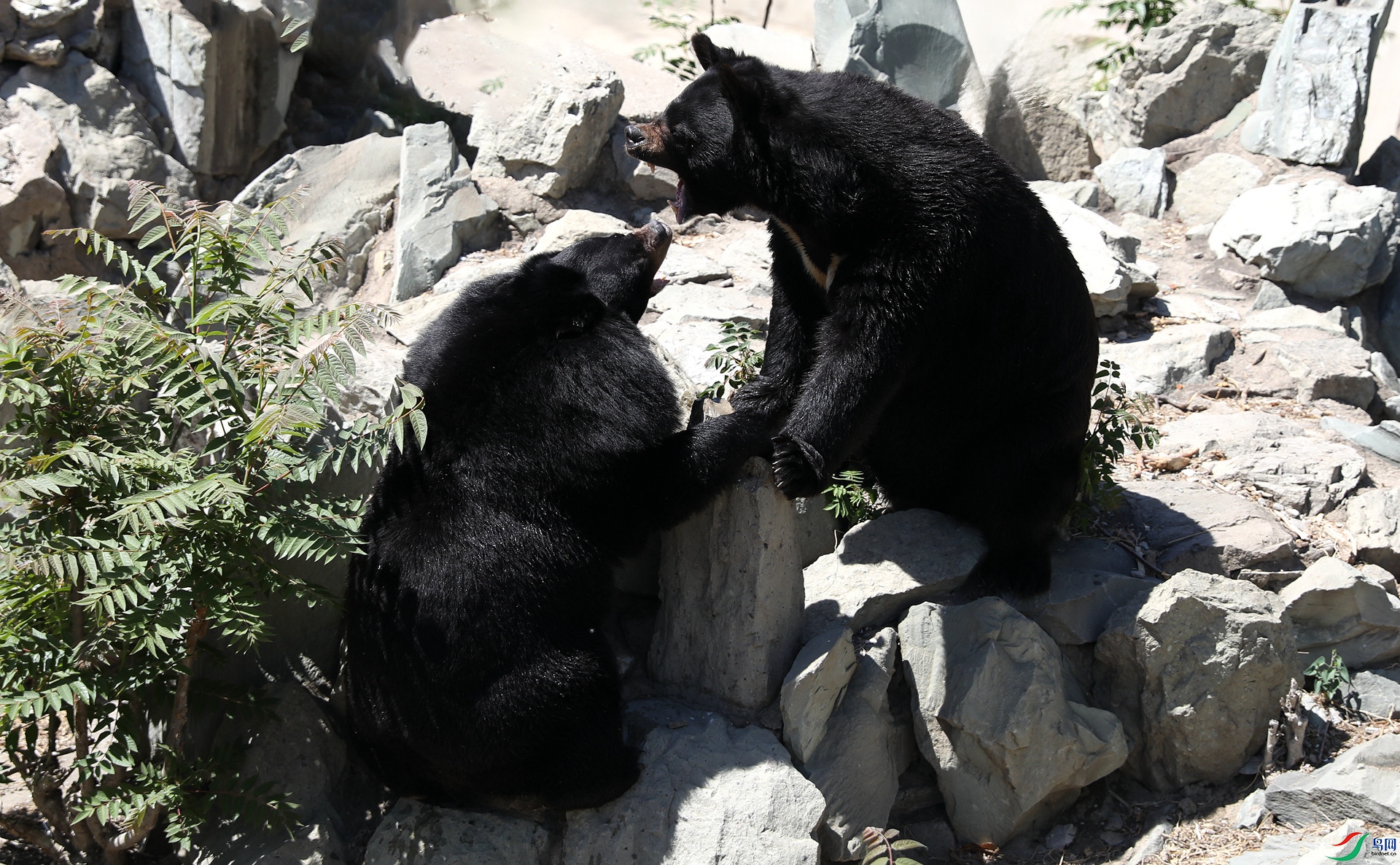 9G8A1178 ����.jpg