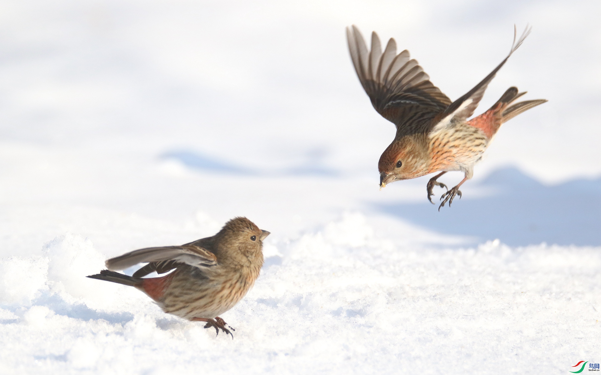 0G1A4435 ����.jpg