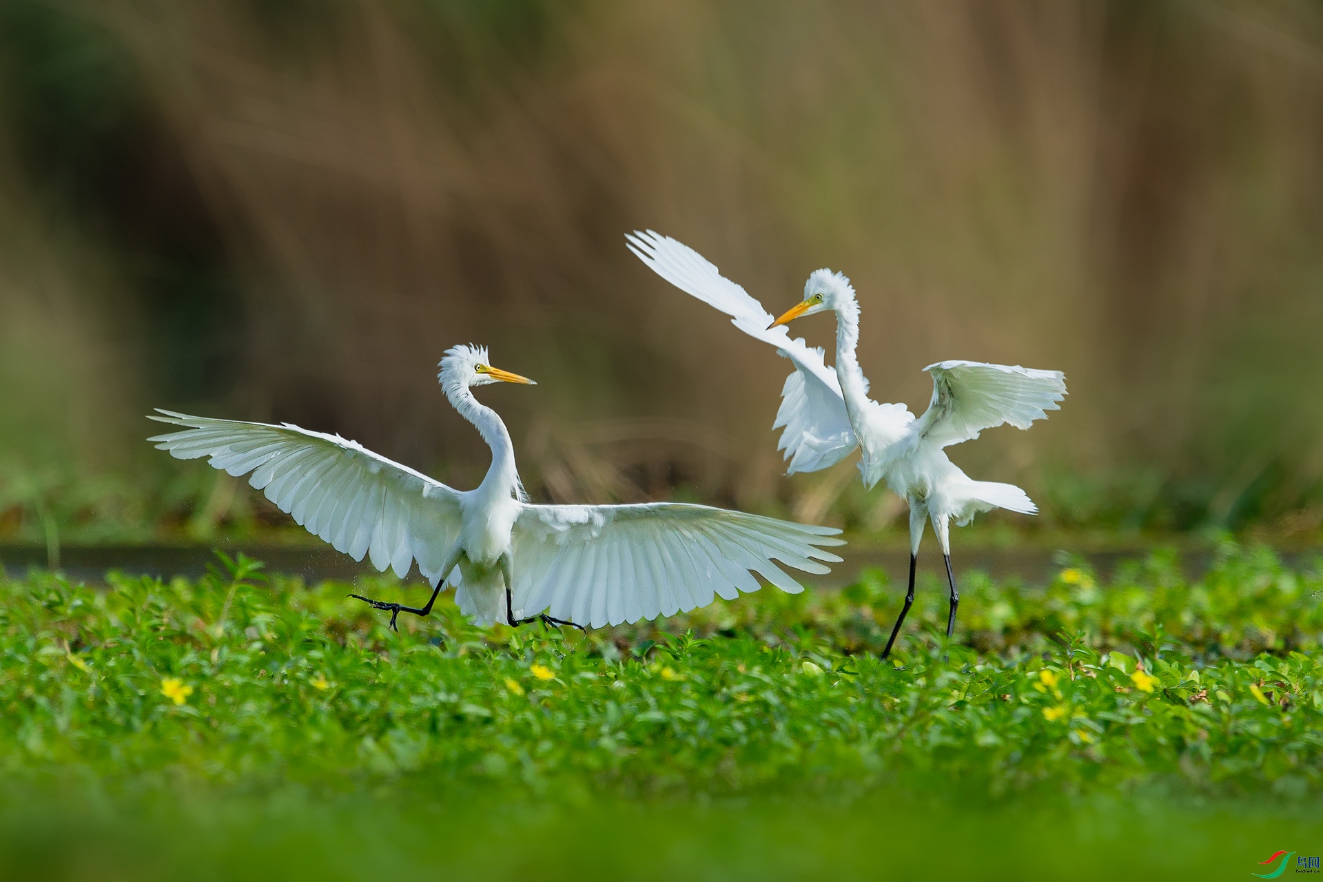 BE5I9557 ����С.jpg