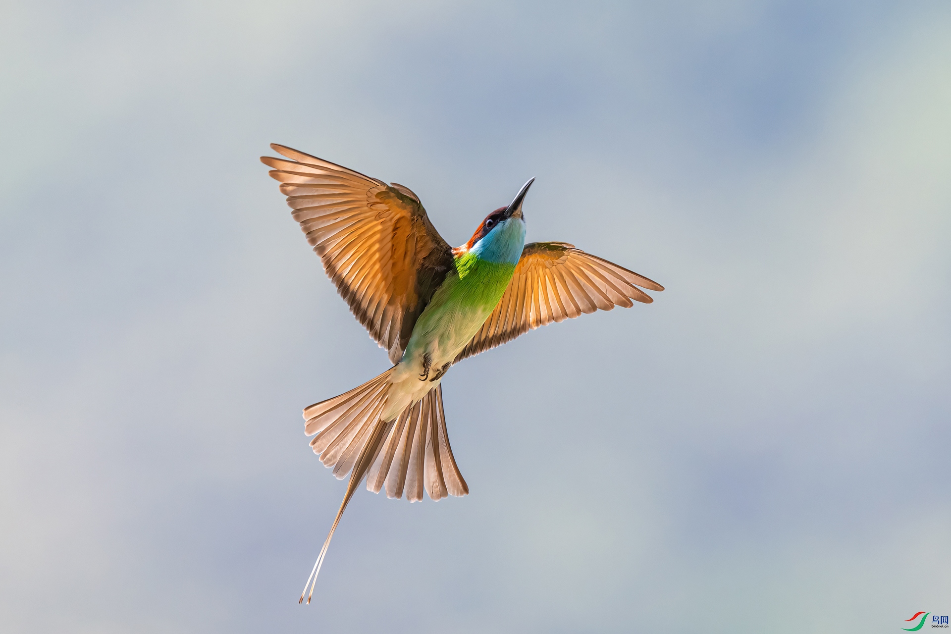 DSC_2666.jpg