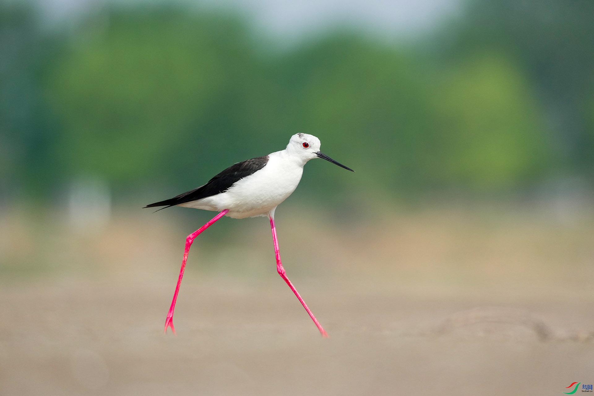 DSC02090.JPG