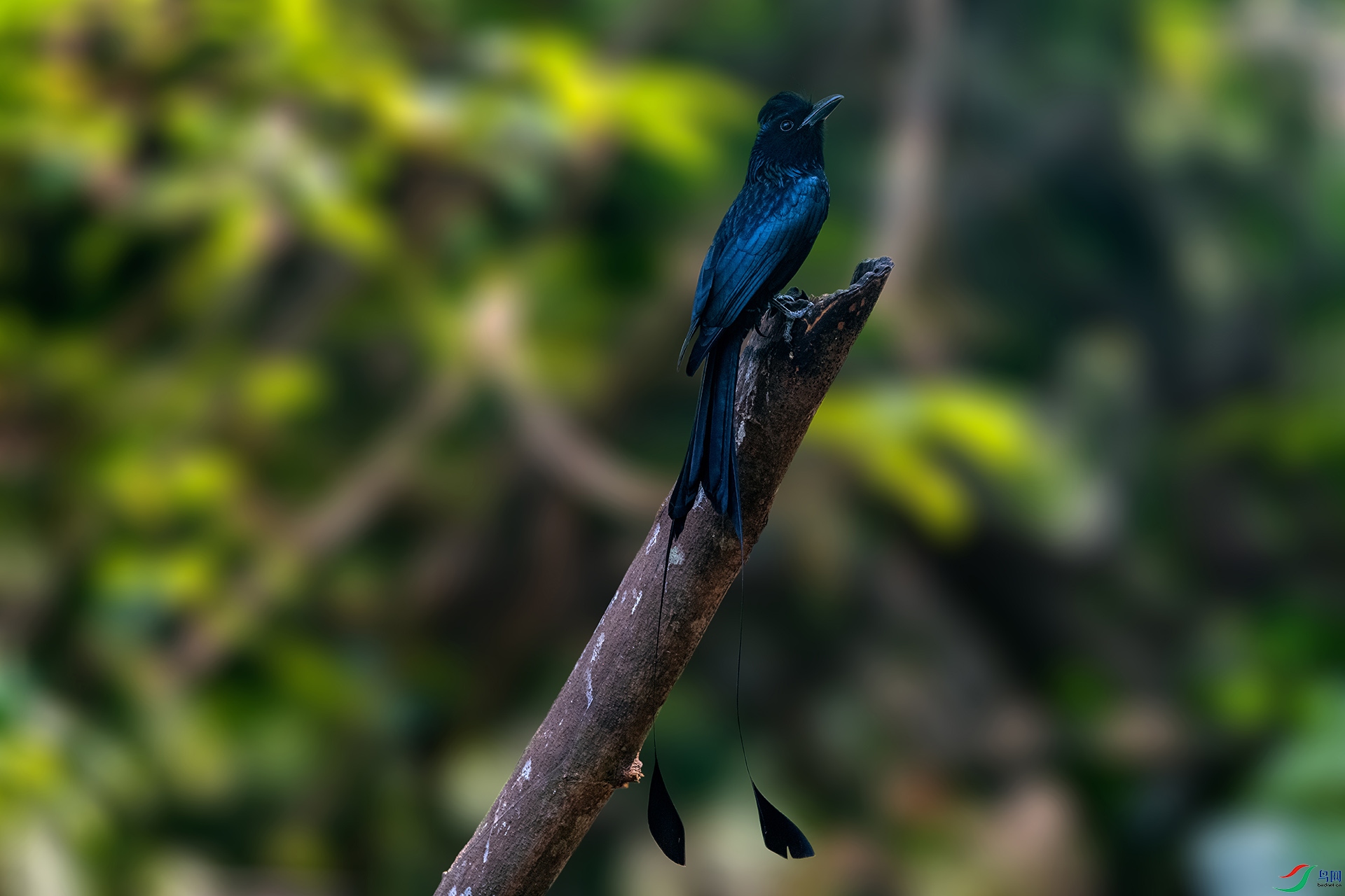 _AUU9130����β(24.2.22).jpg