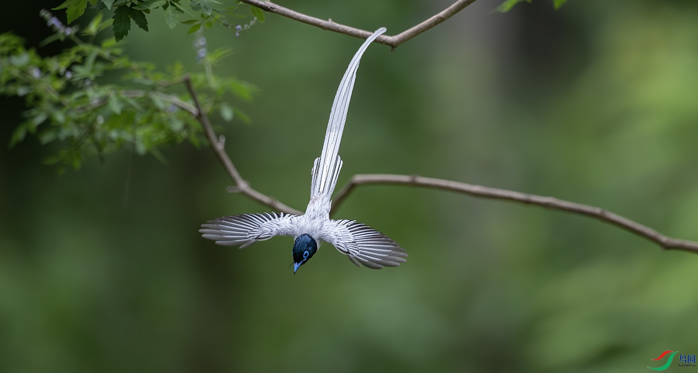 DSC_7340-����ǿ-NR ����.jpg
