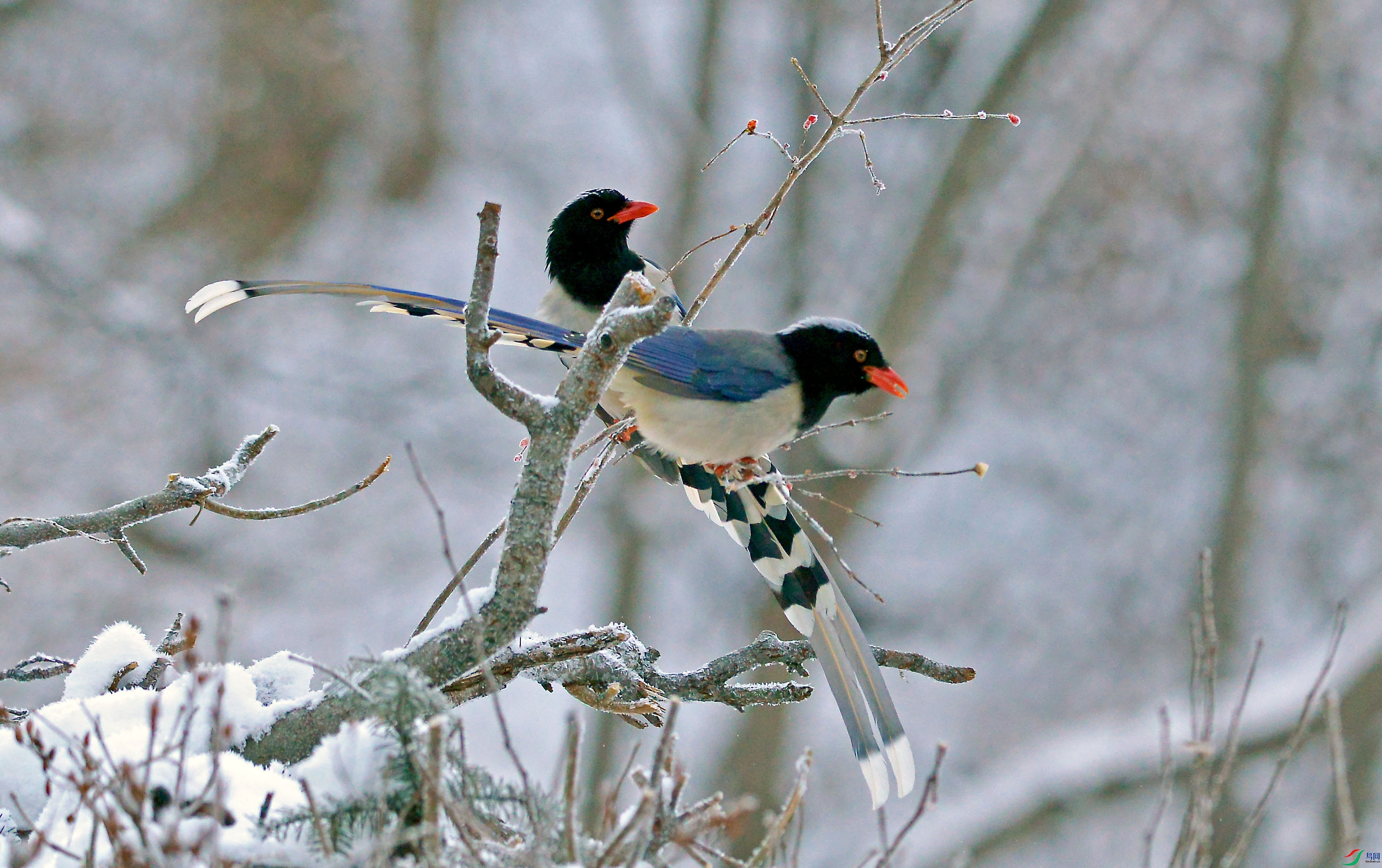 DSC_3621.jpg