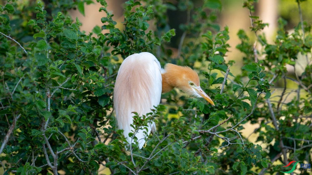 DSC_8607.jpg