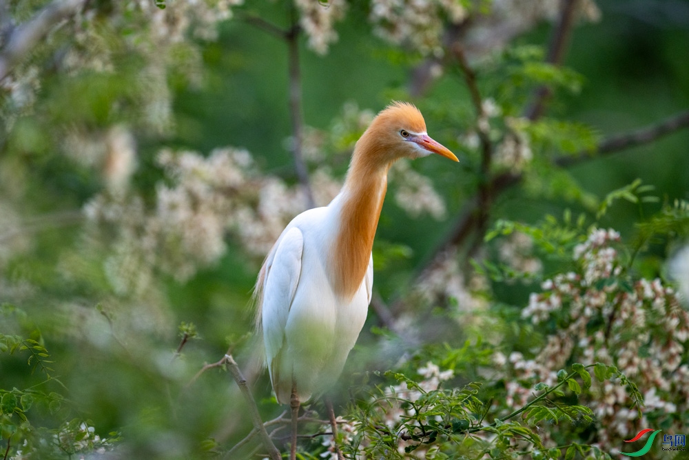DSC_1523.jpg