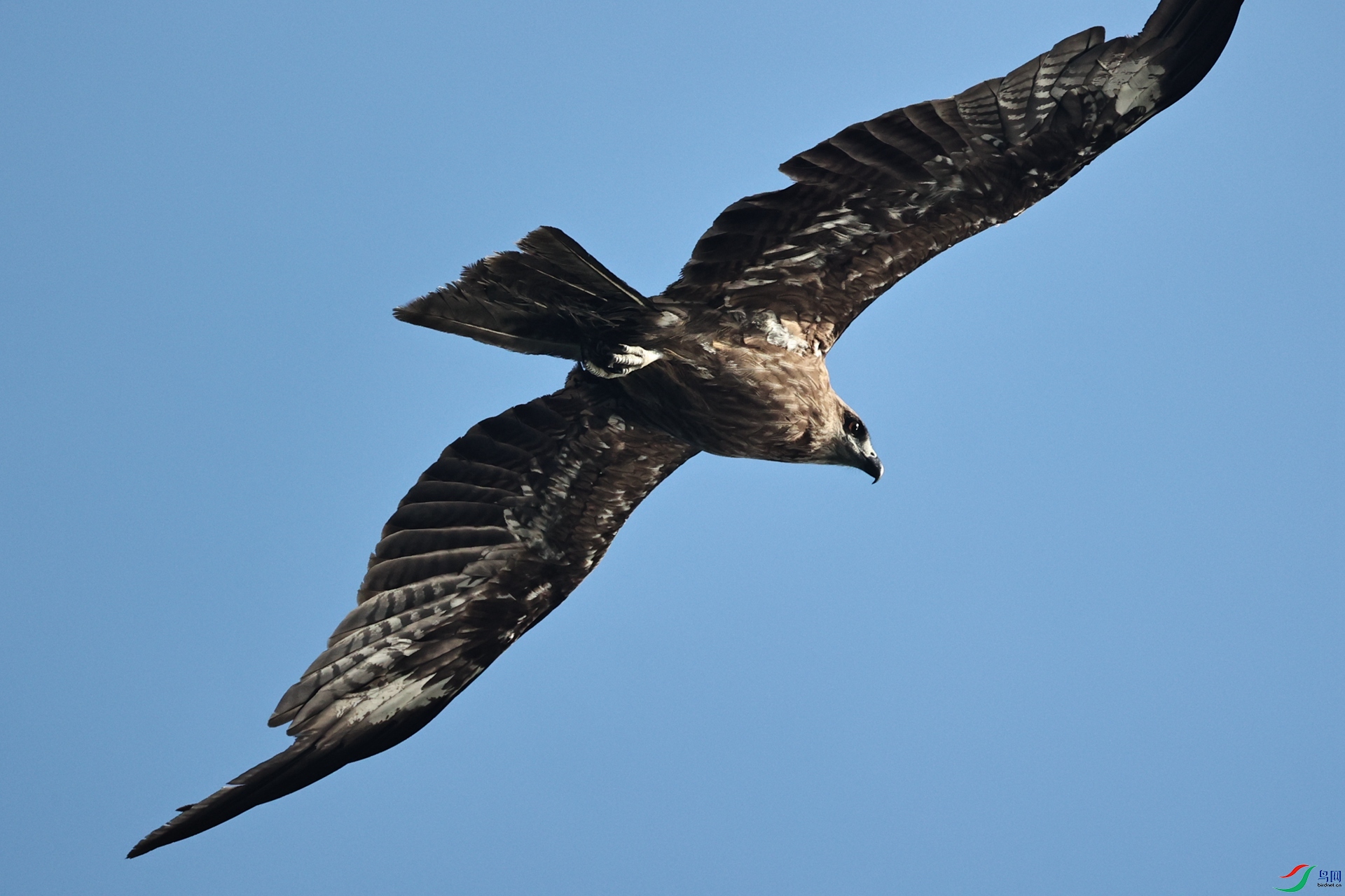 H25B5368_����.jpg