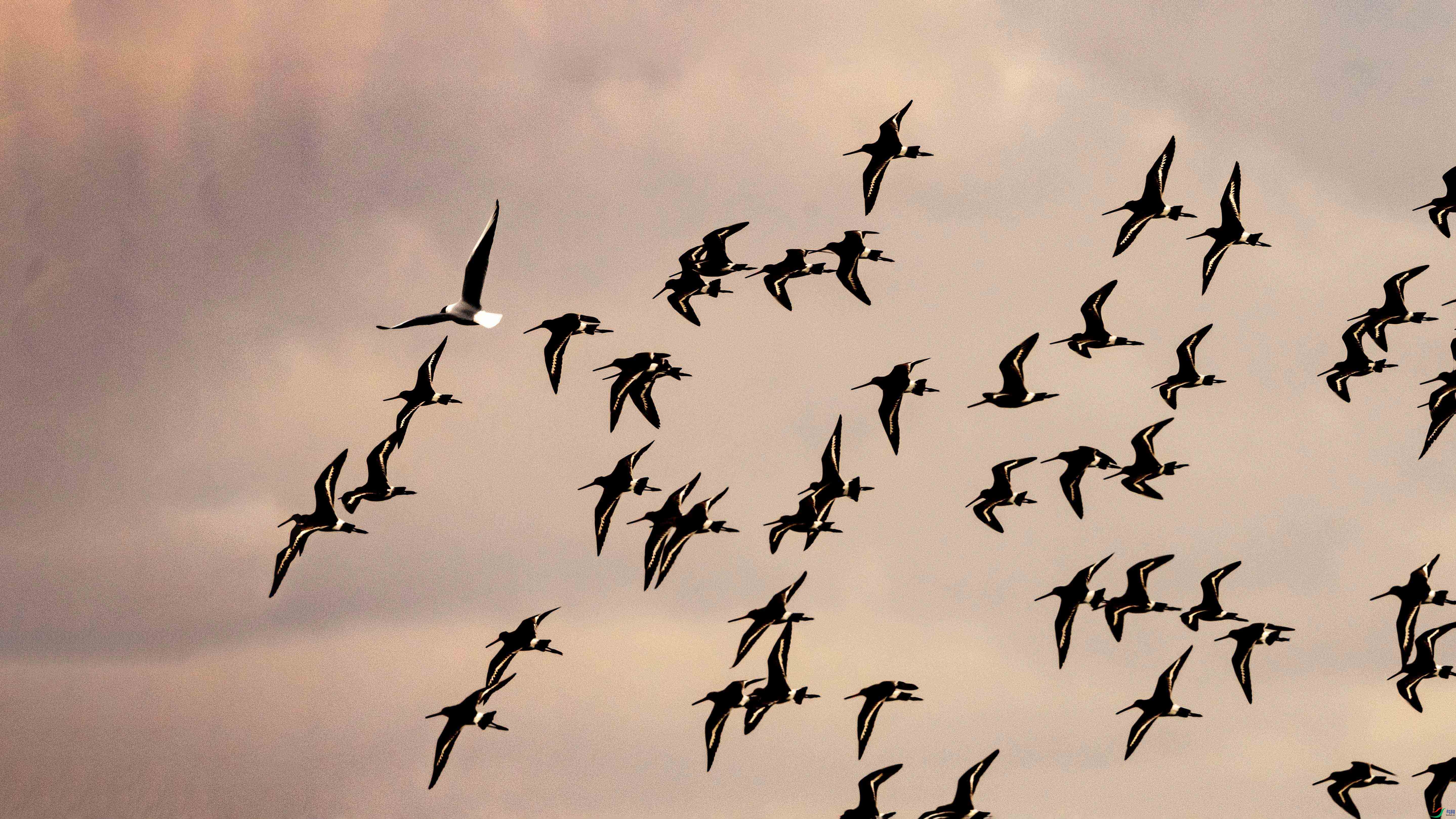 _LYF2342 ���� 2.jpg