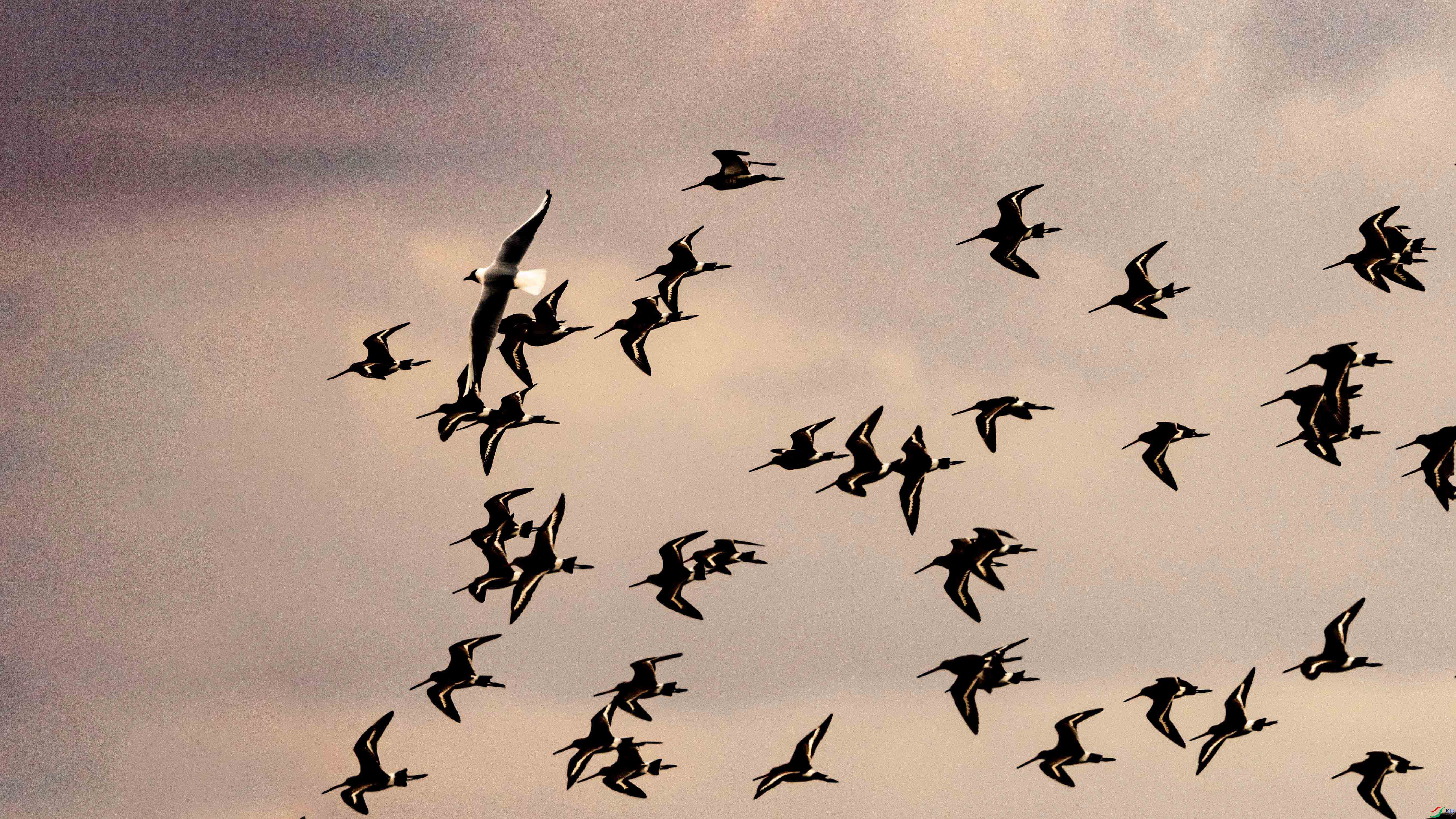 _LYF2344 ���� 2.jpg