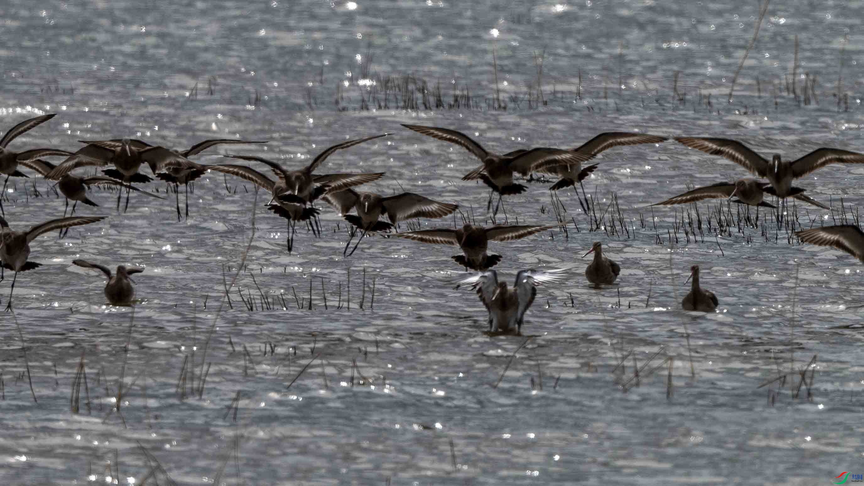 _LYF2266 ����.jpg