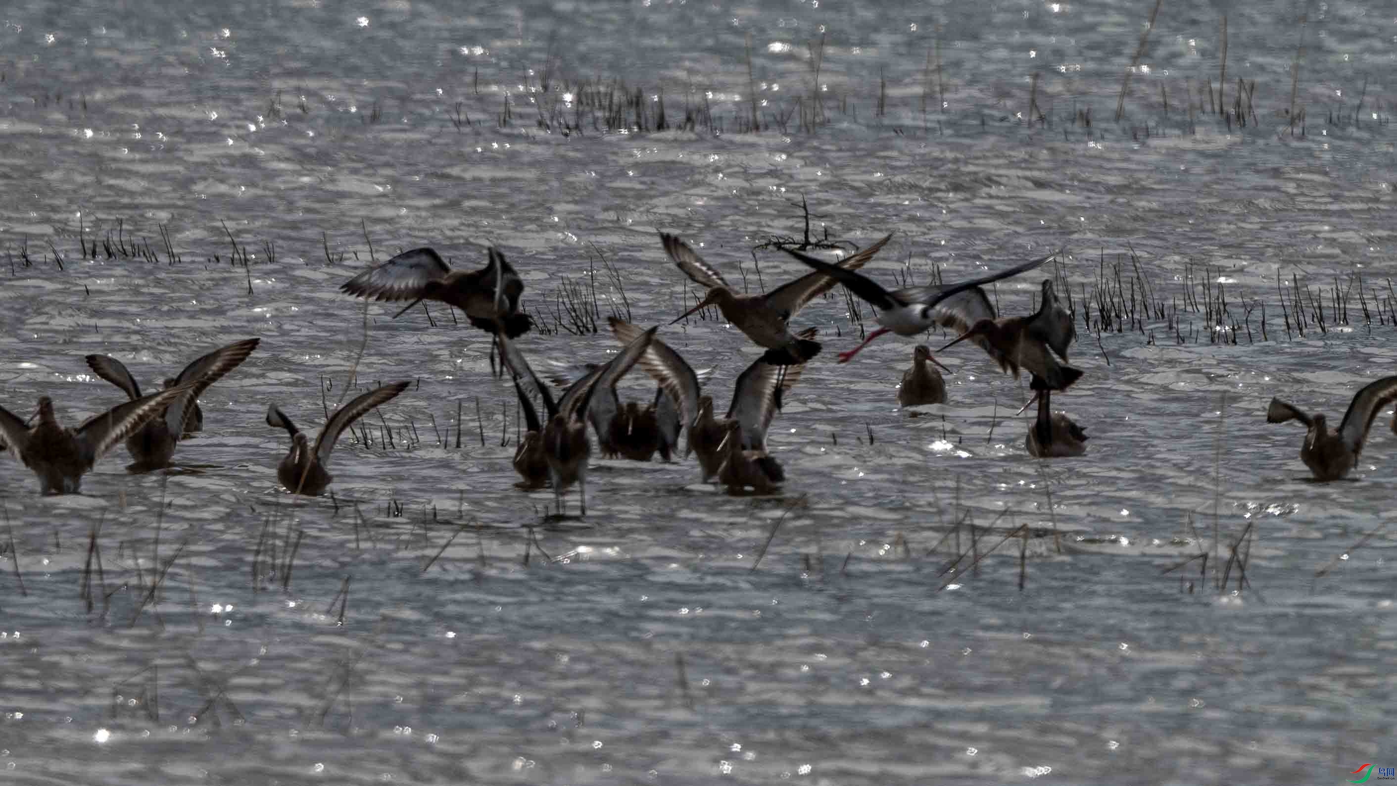 _LYF2271 ����.jpg