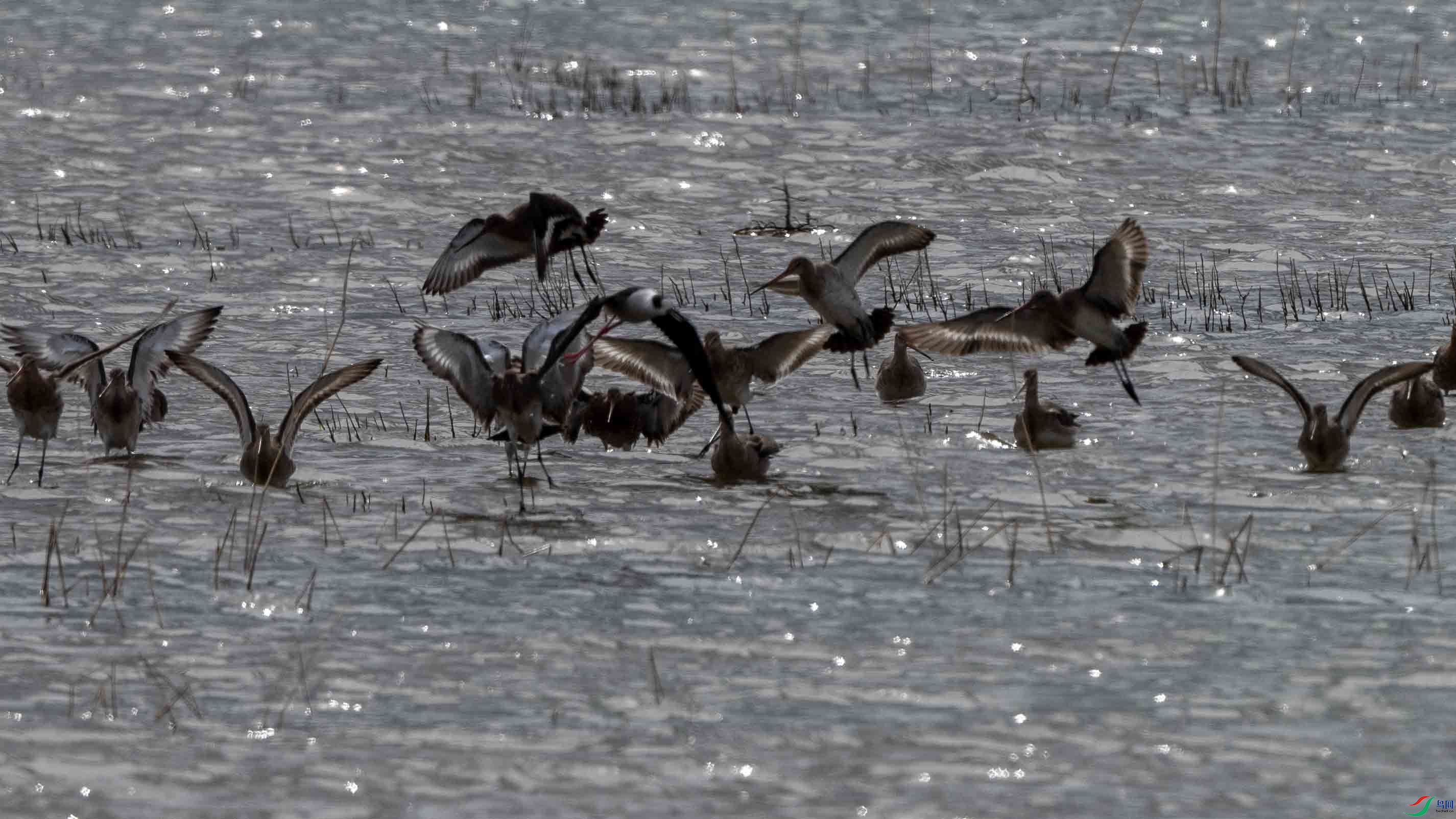 _LYF2270 ����.jpg