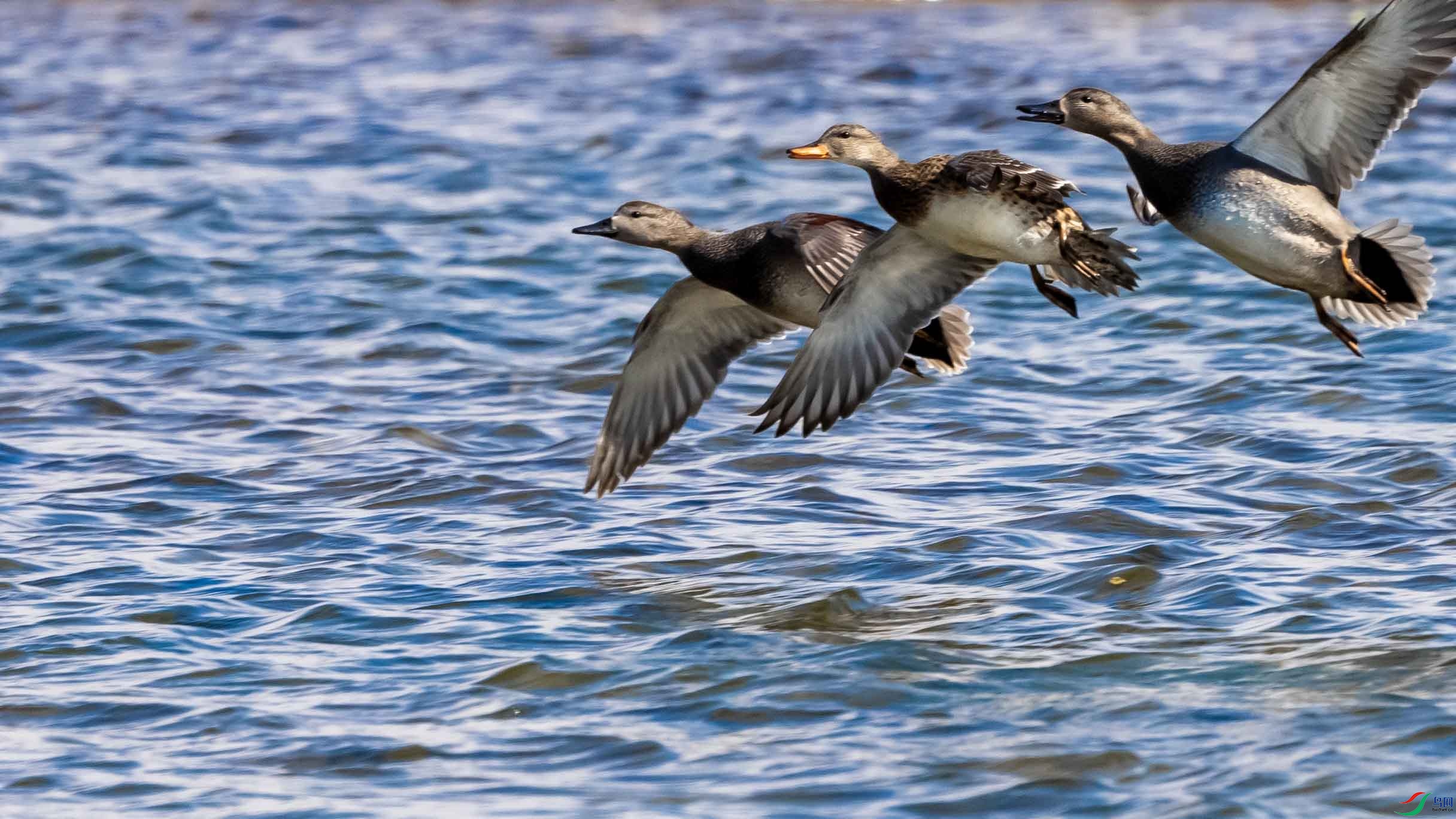 _LYF9259 ����.jpg