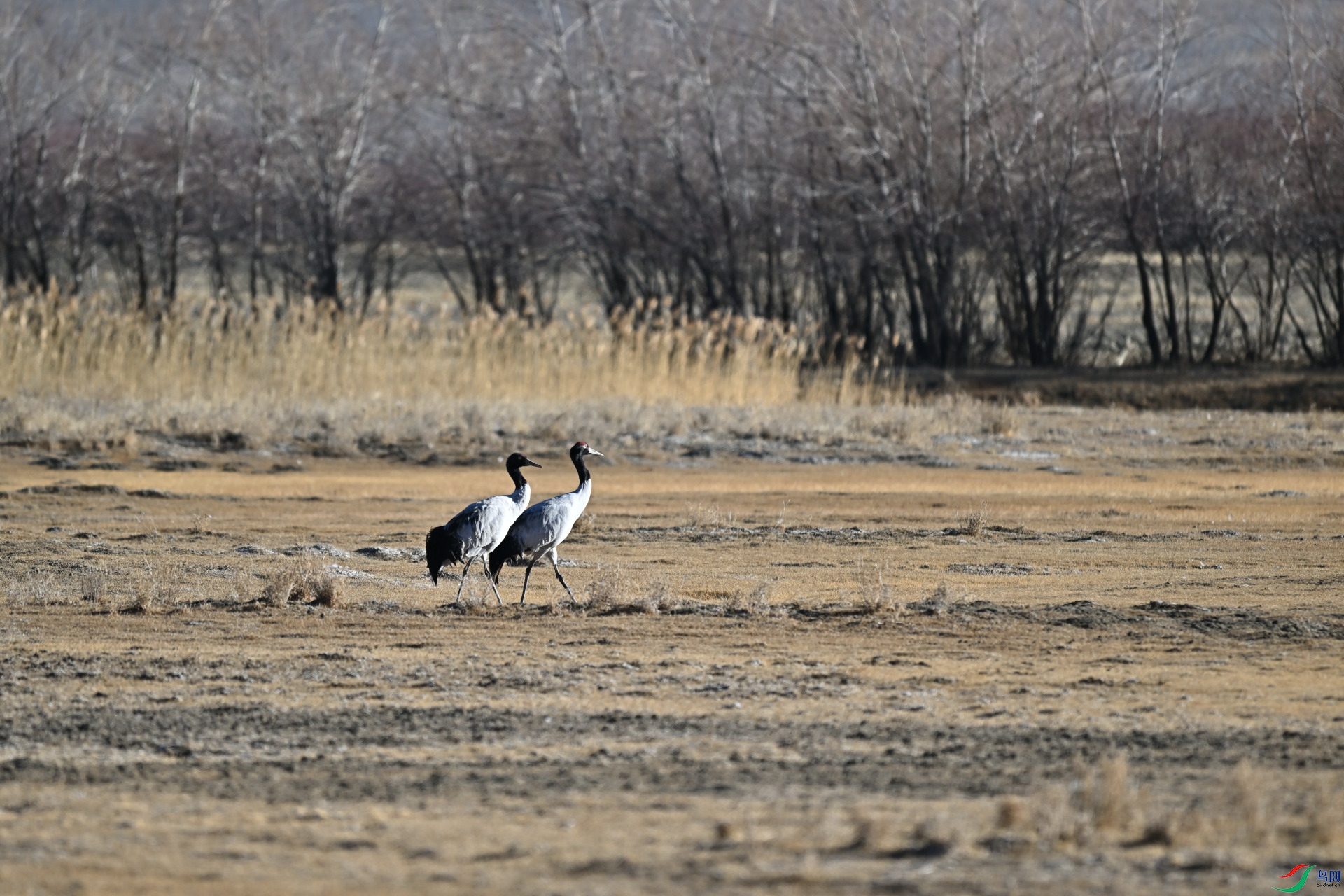 DSC_4091_227.JPG