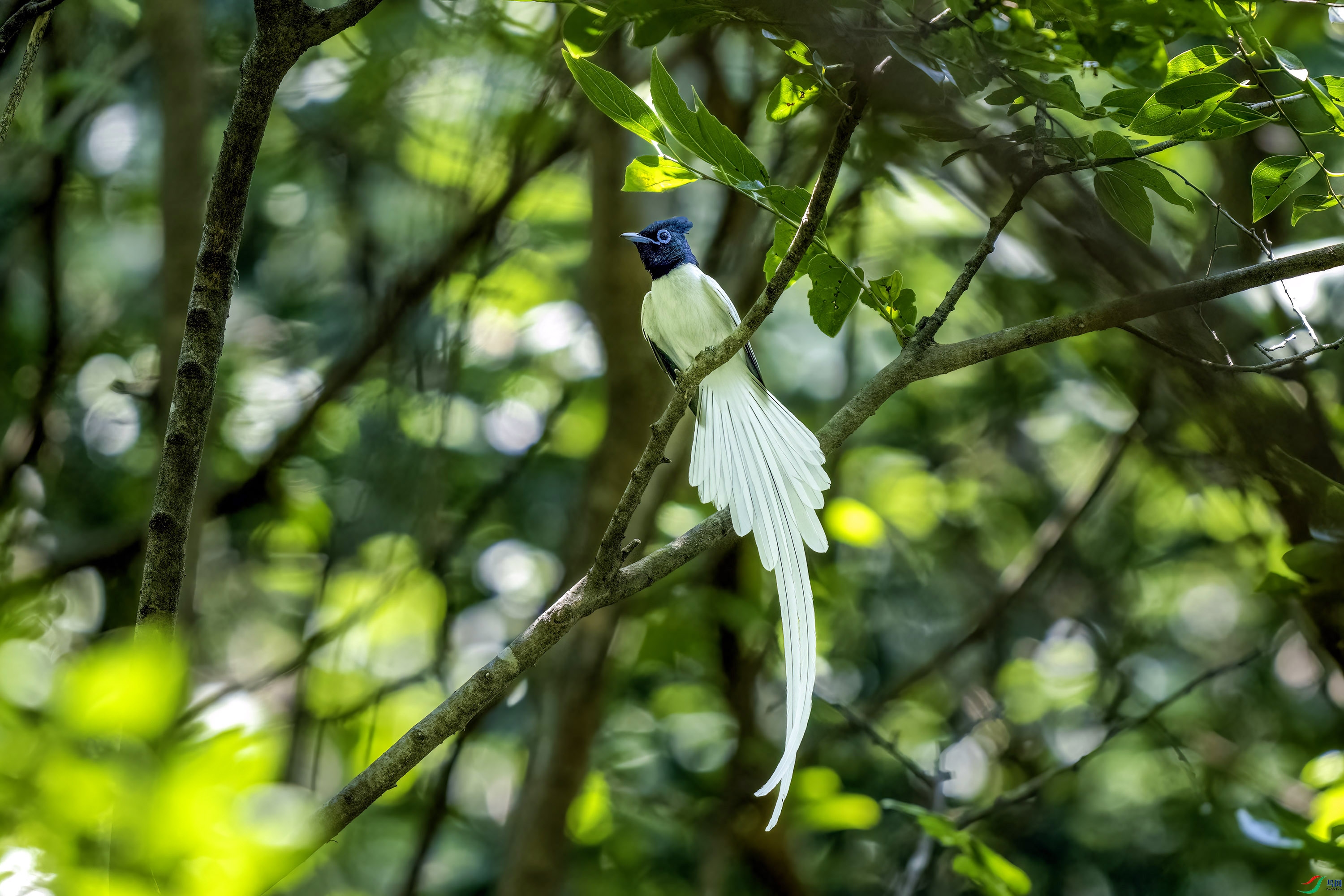 DSC_7044.jpg