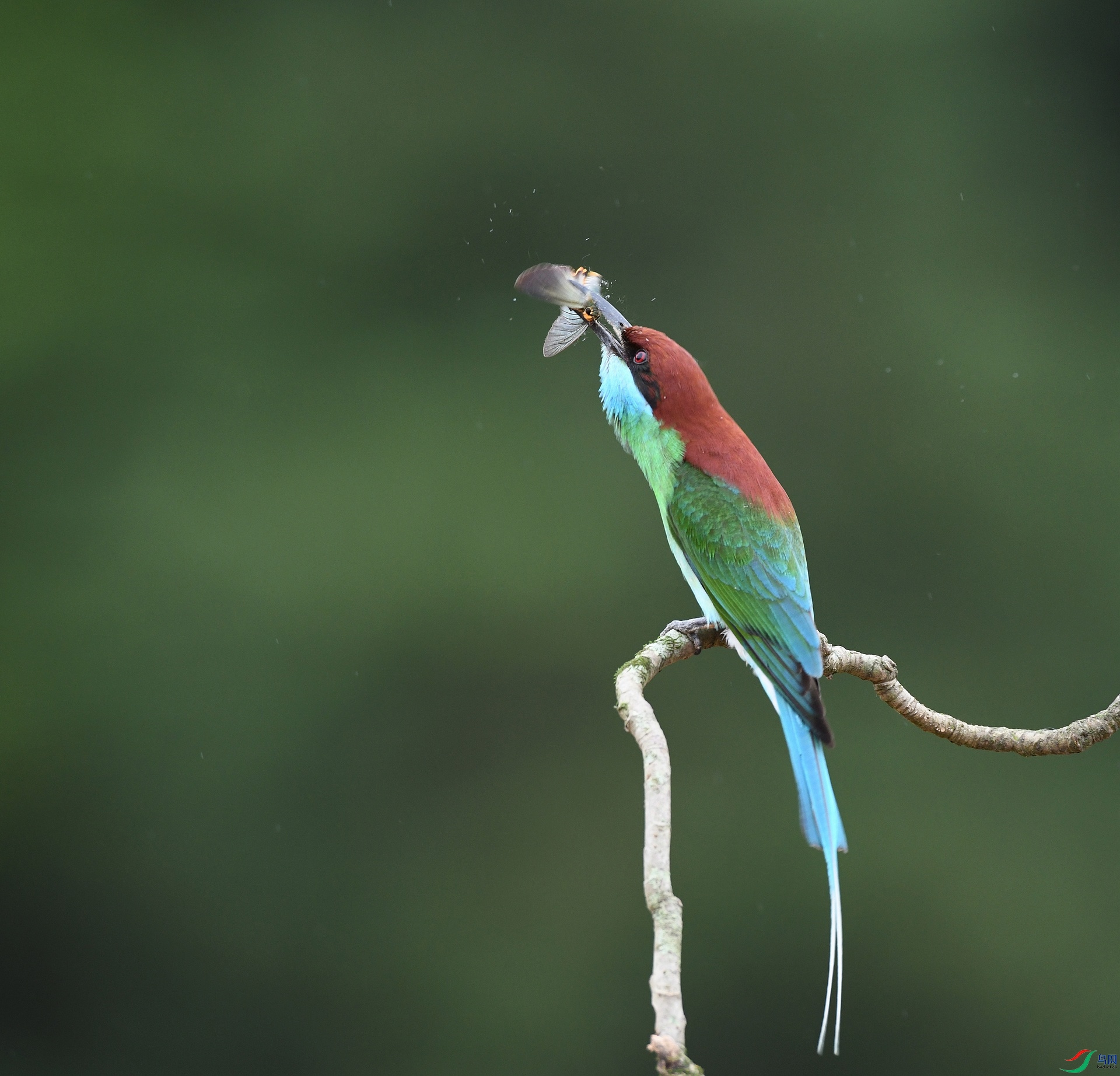 DSC_7054.jpg