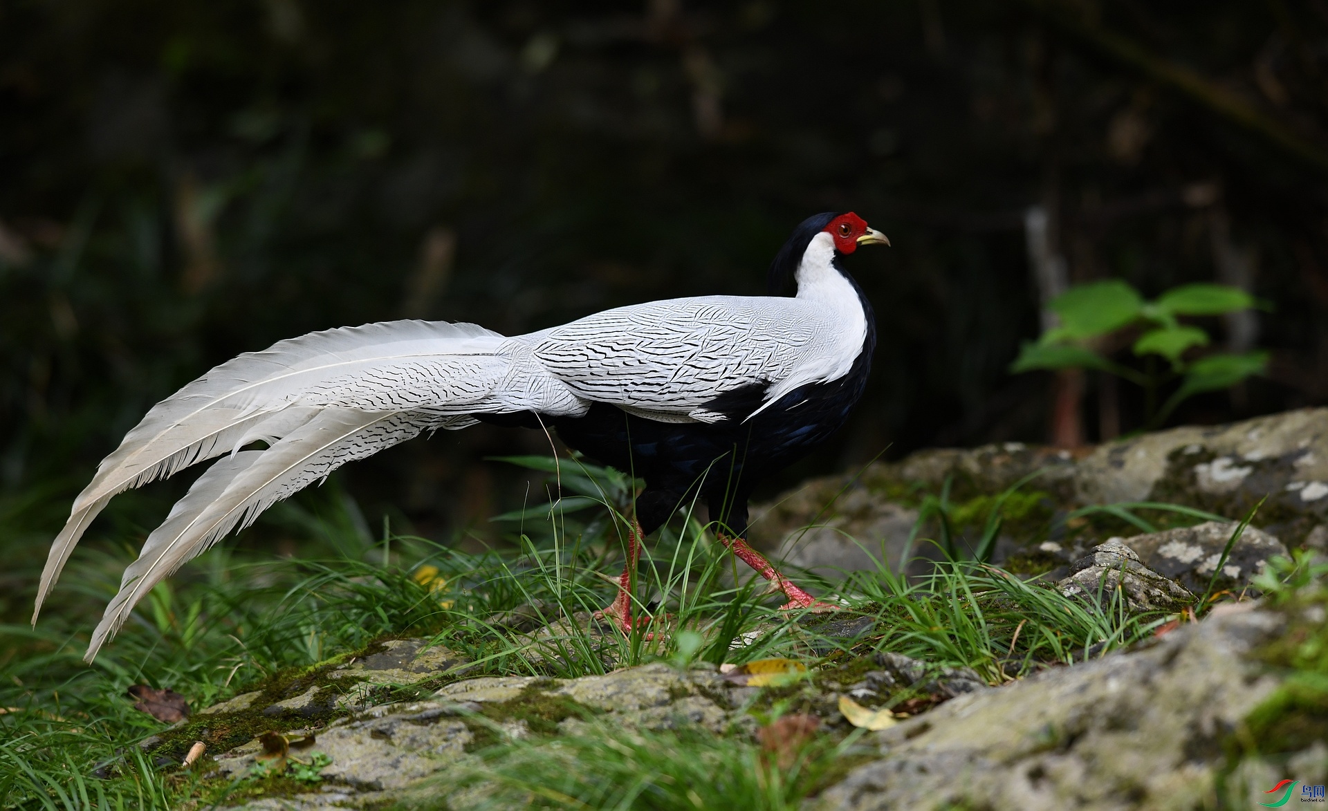 DSC_6837.jpg