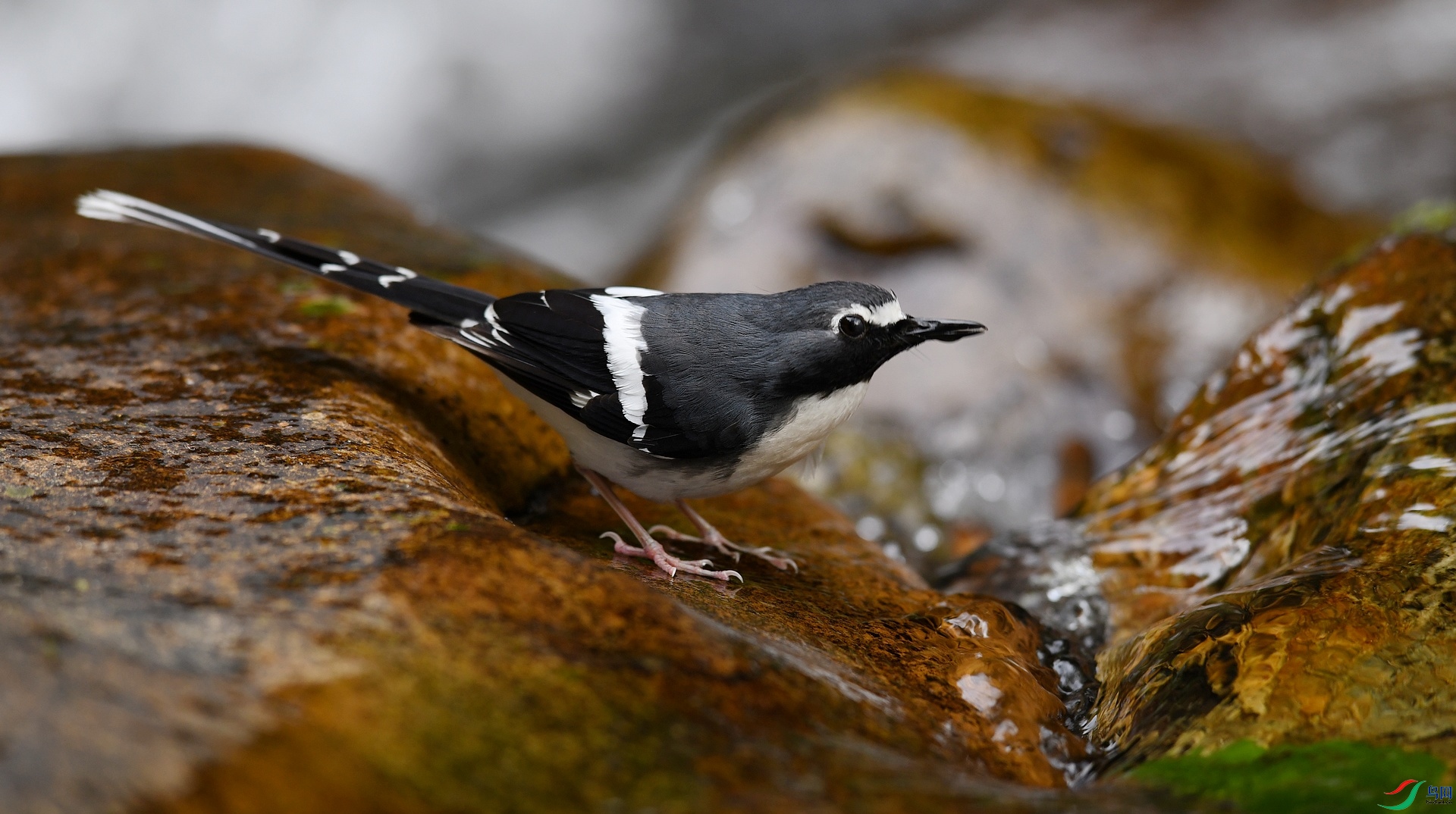 DSC_7084.jpg