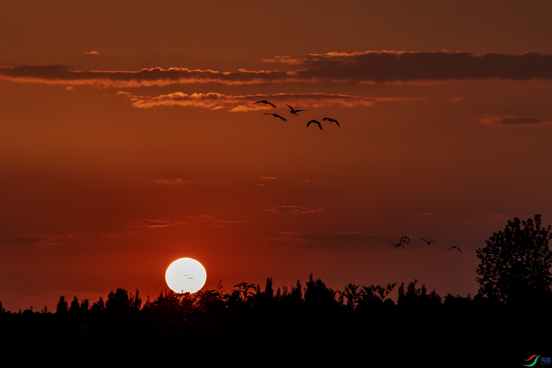 Ϧ������