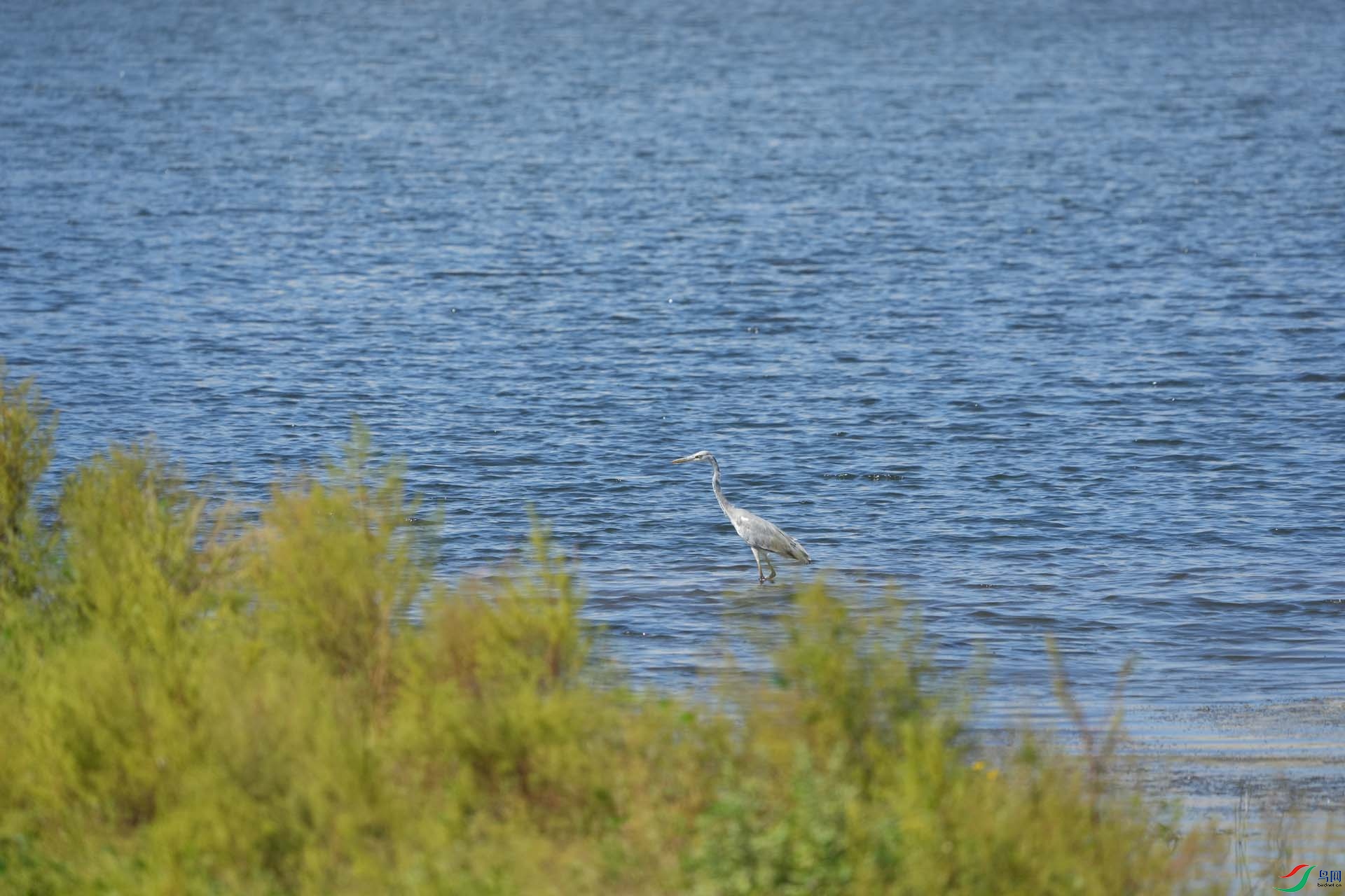 DSC07165.jpg