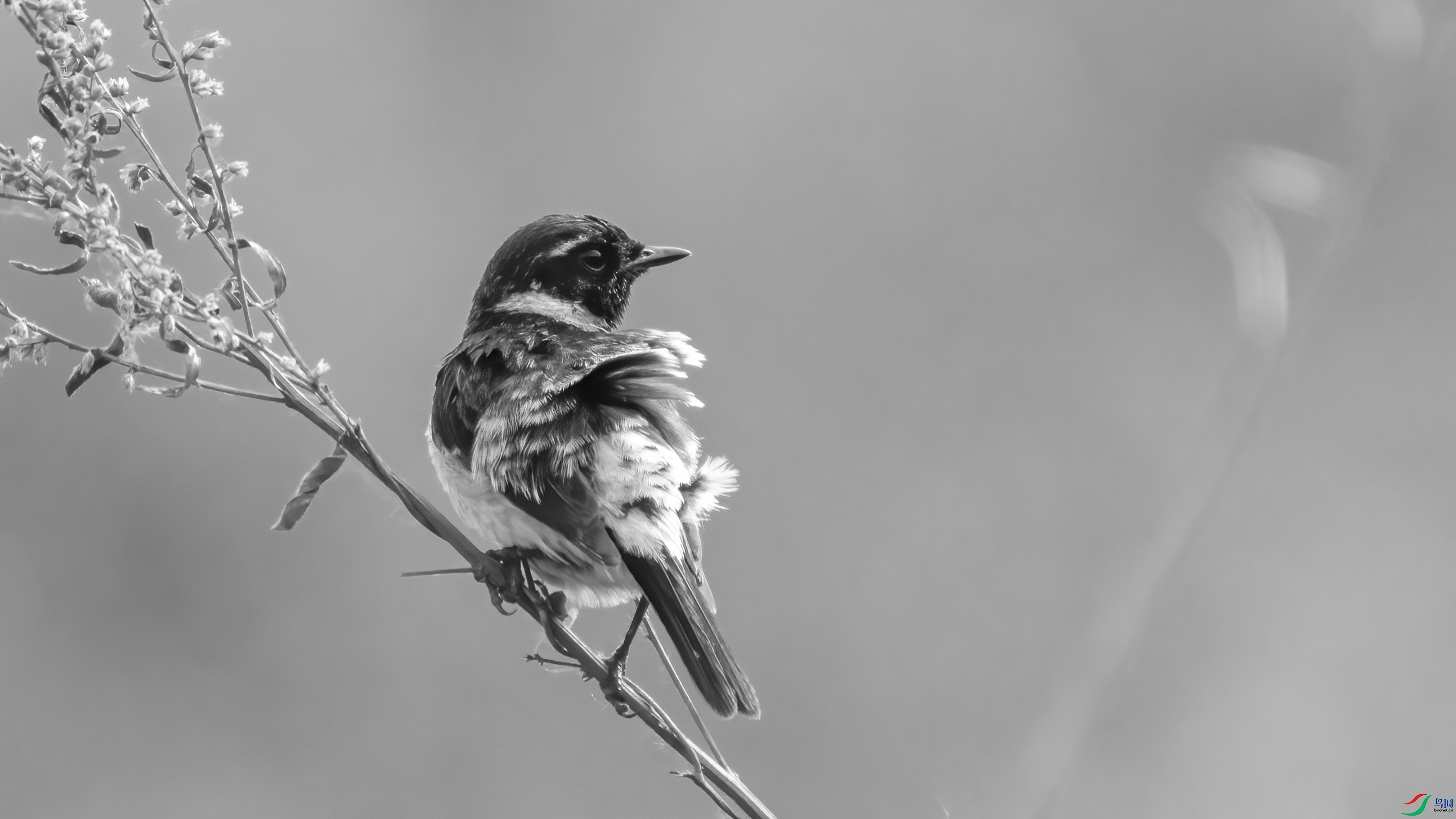 DSC01355 ����.jpg