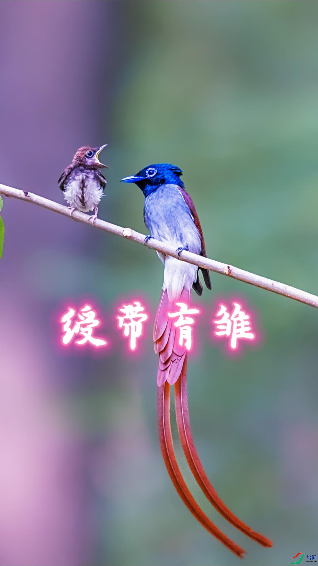 練�-����.jpg