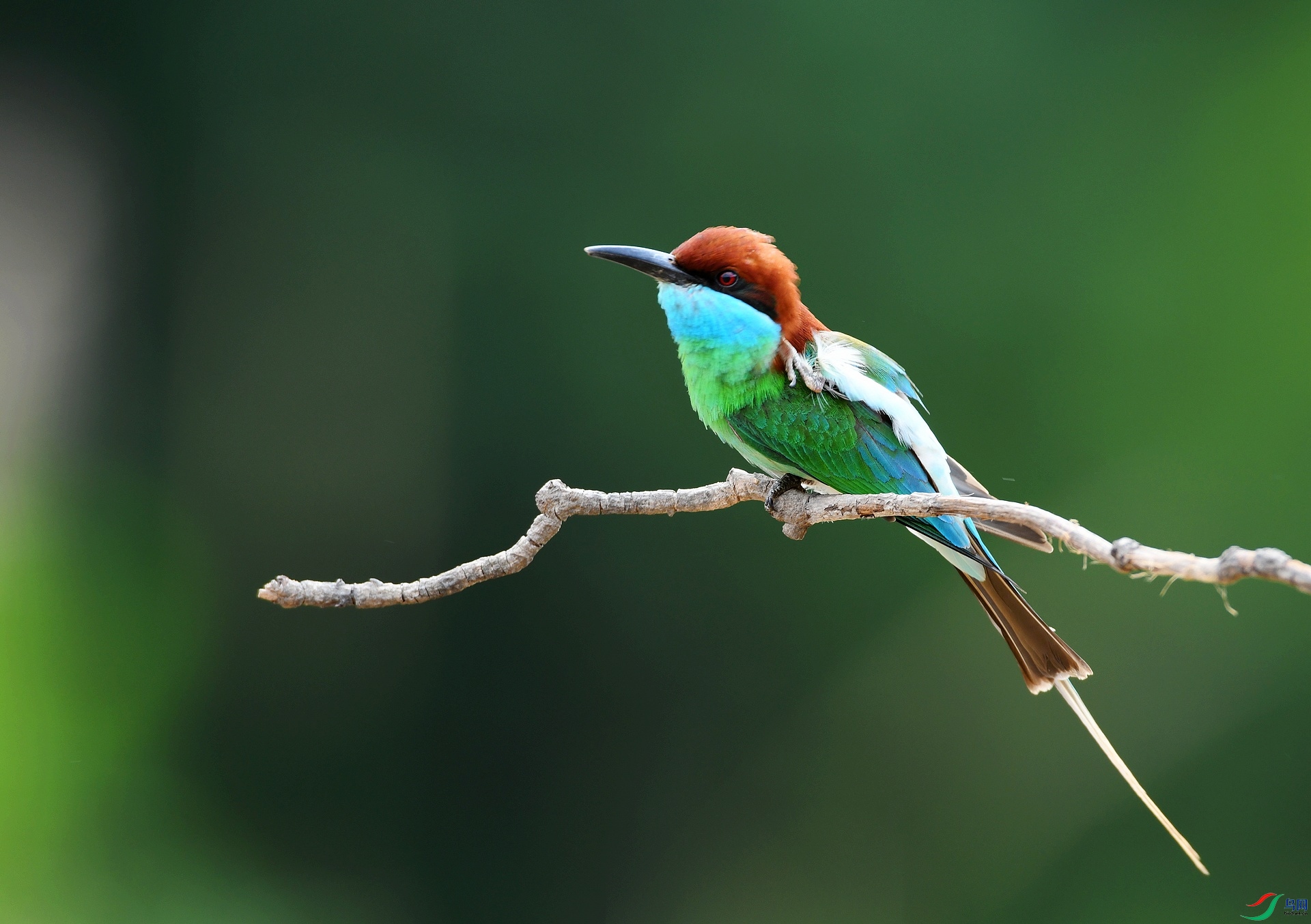 DSC_5120.jpg