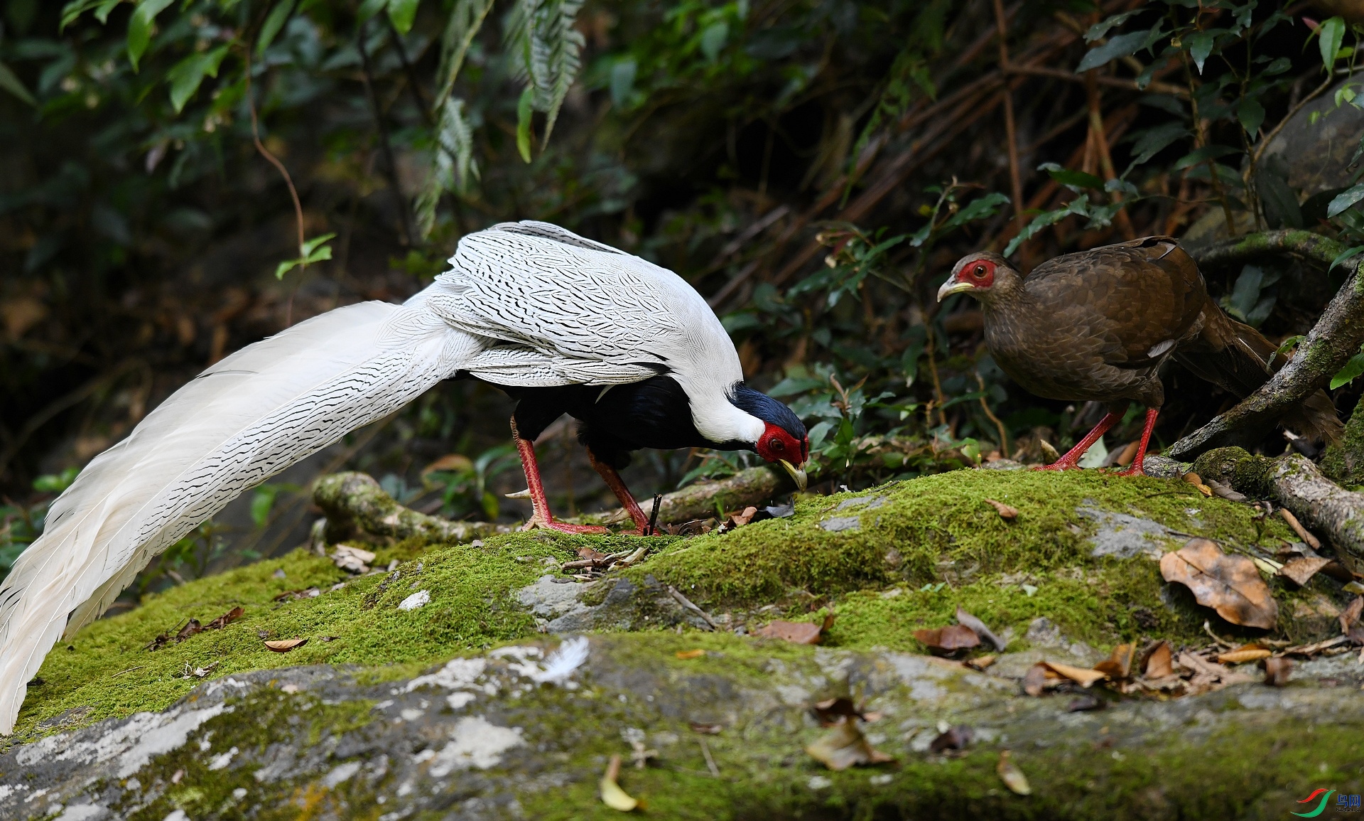 DSC_7142.jpg