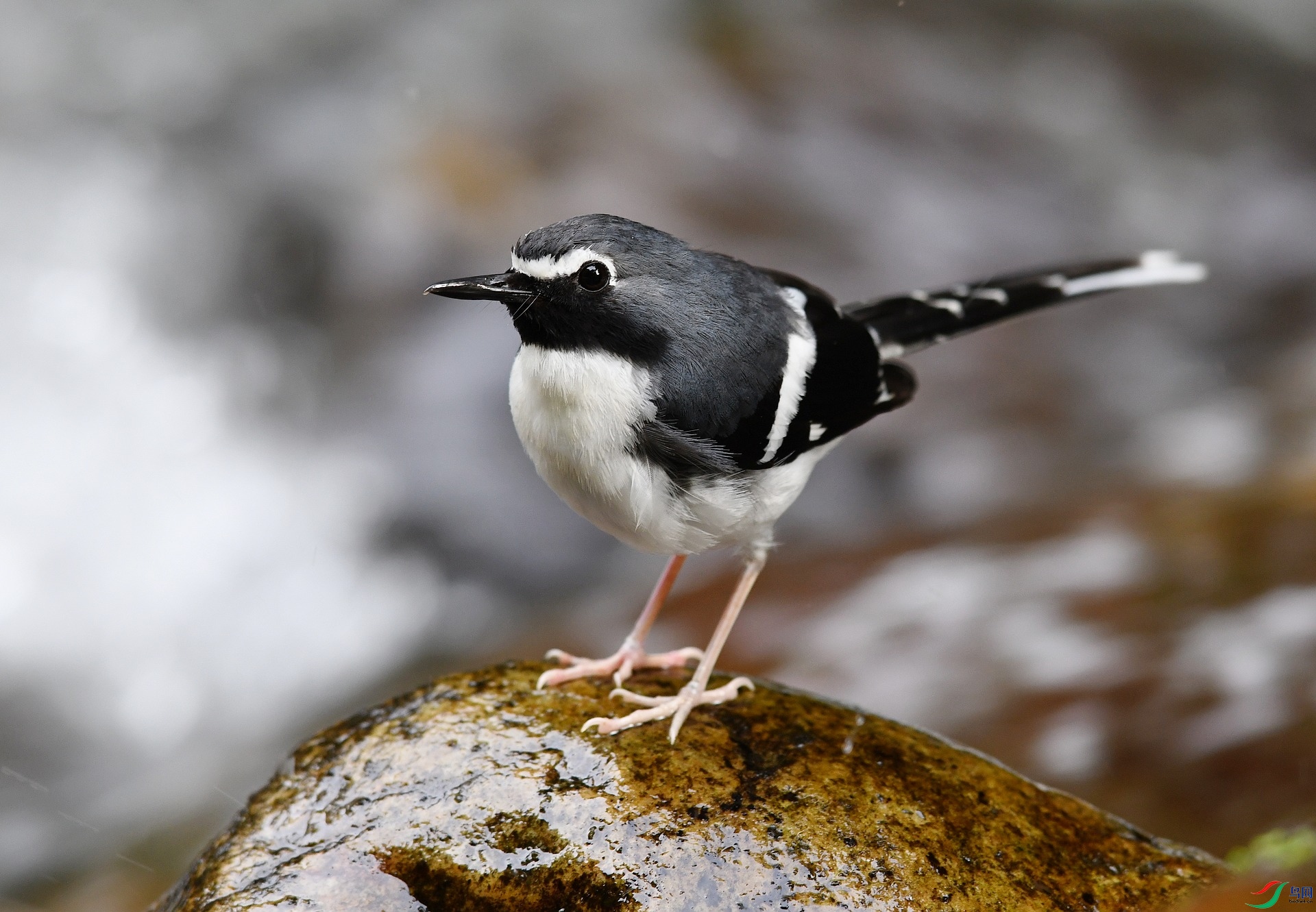 DSC_7102.jpg