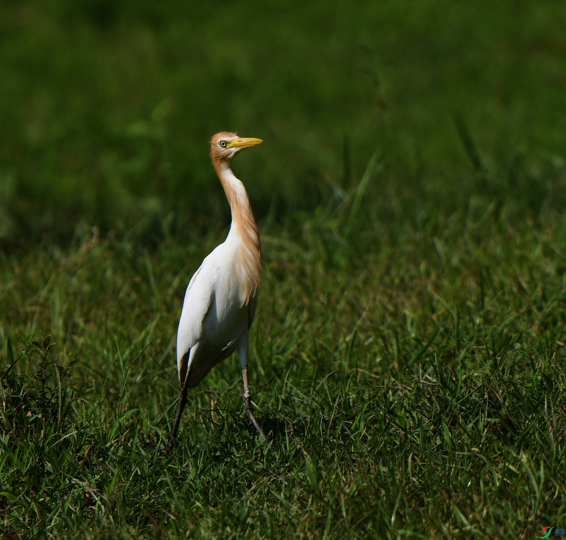 DSC_8726.jpg