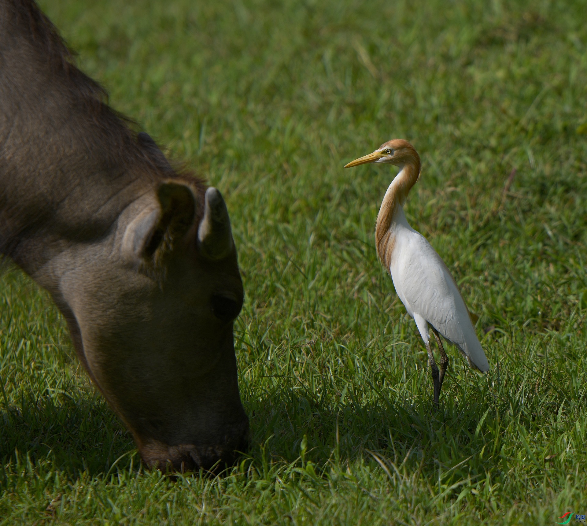 DSC_8666.jpg