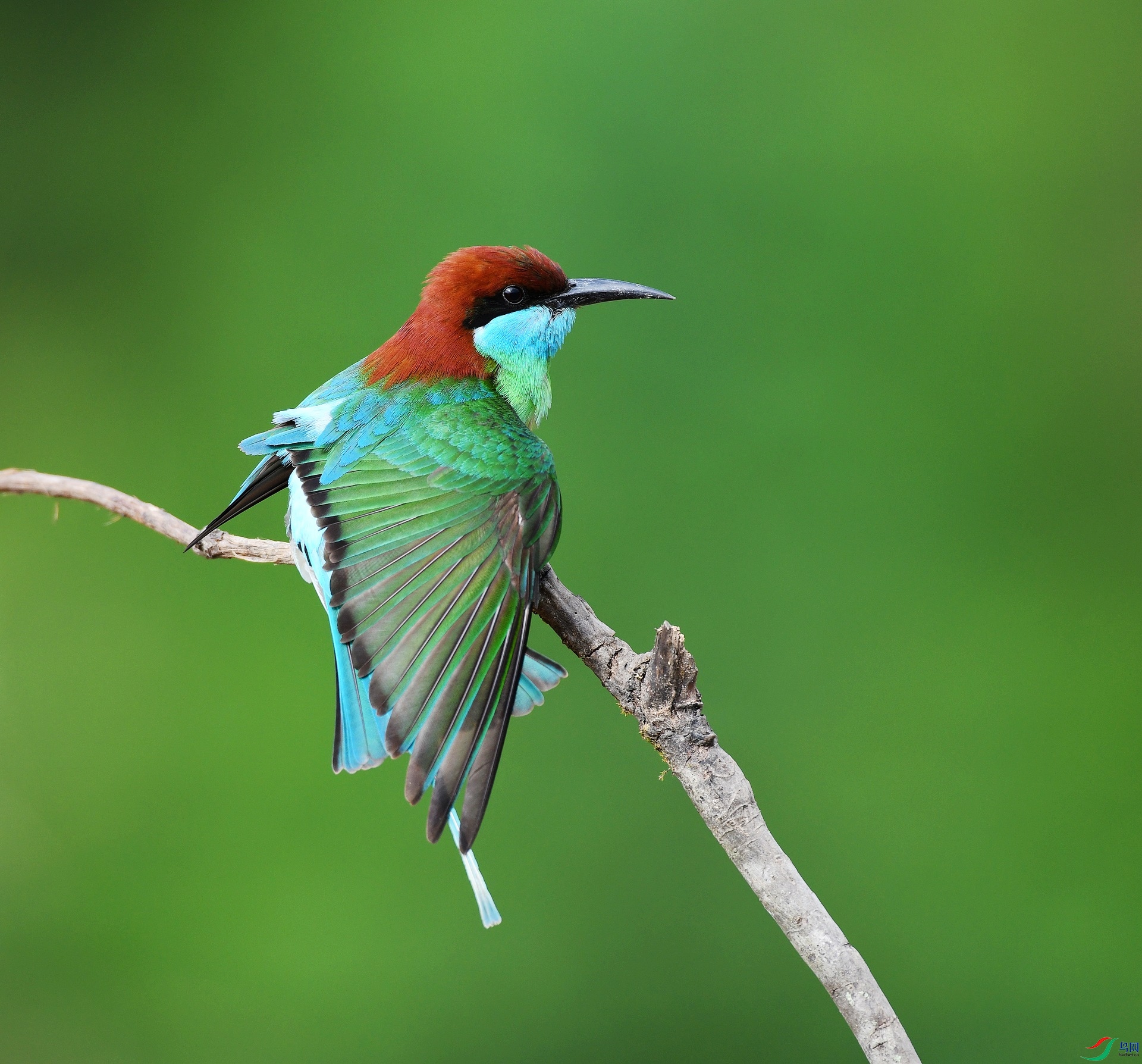 DSC_5101.jpg