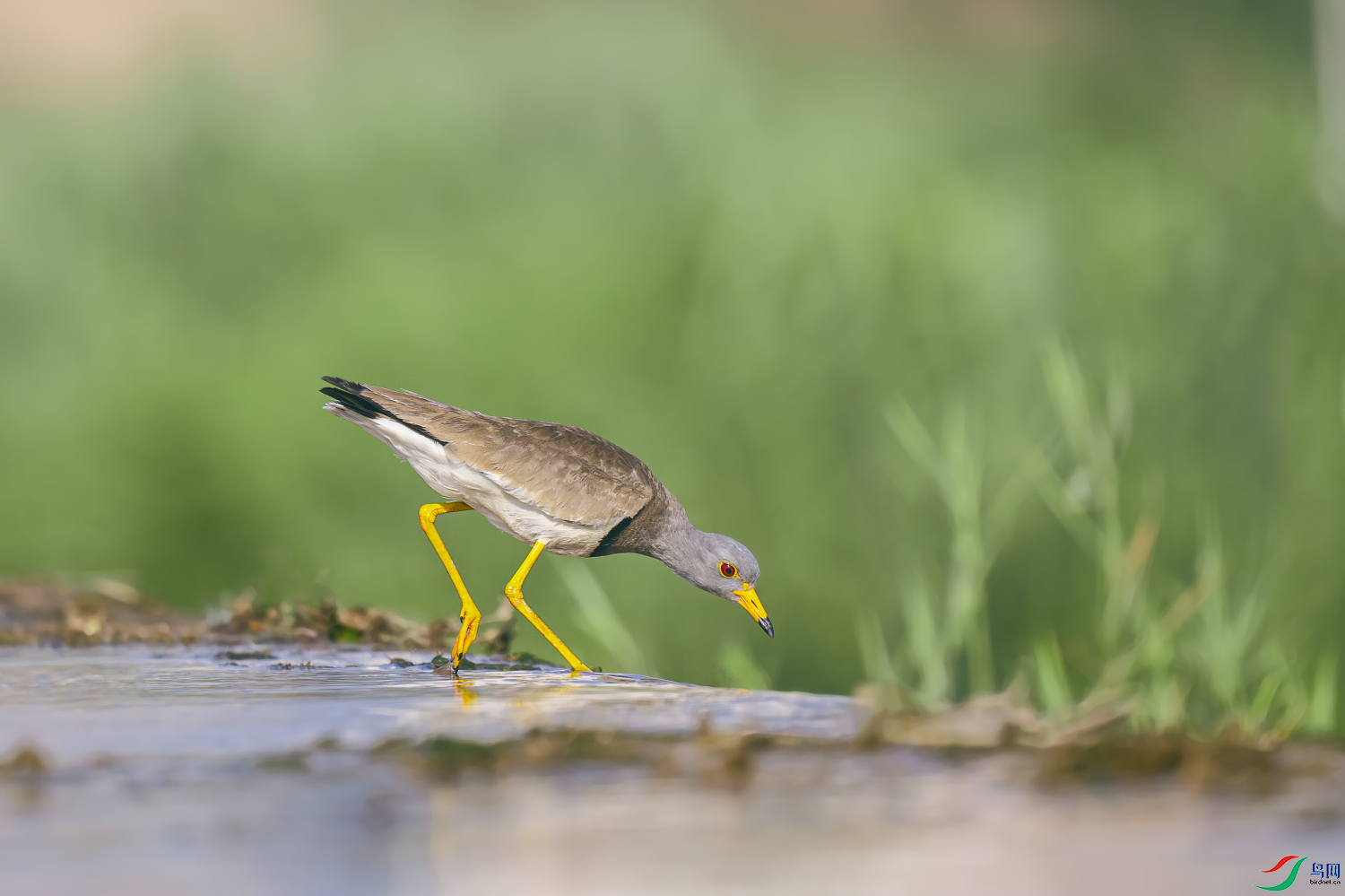 _DSC0186-����ǿ-NR.PNG