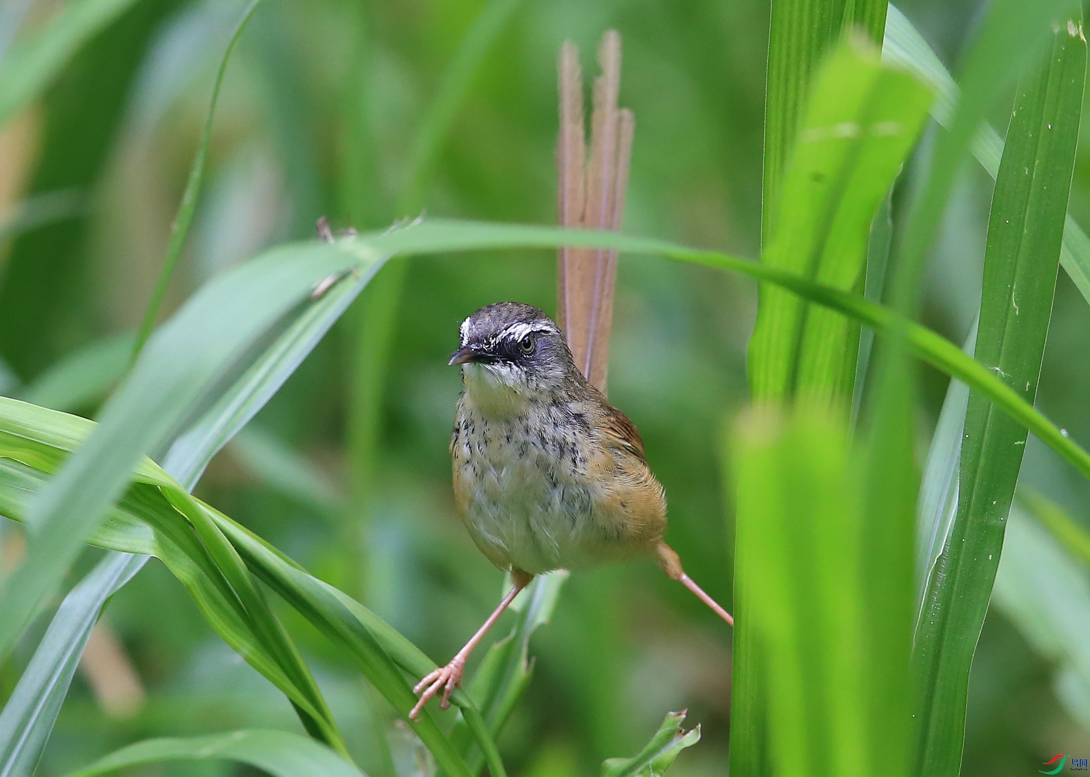 IMGL2496�� ��.JPG