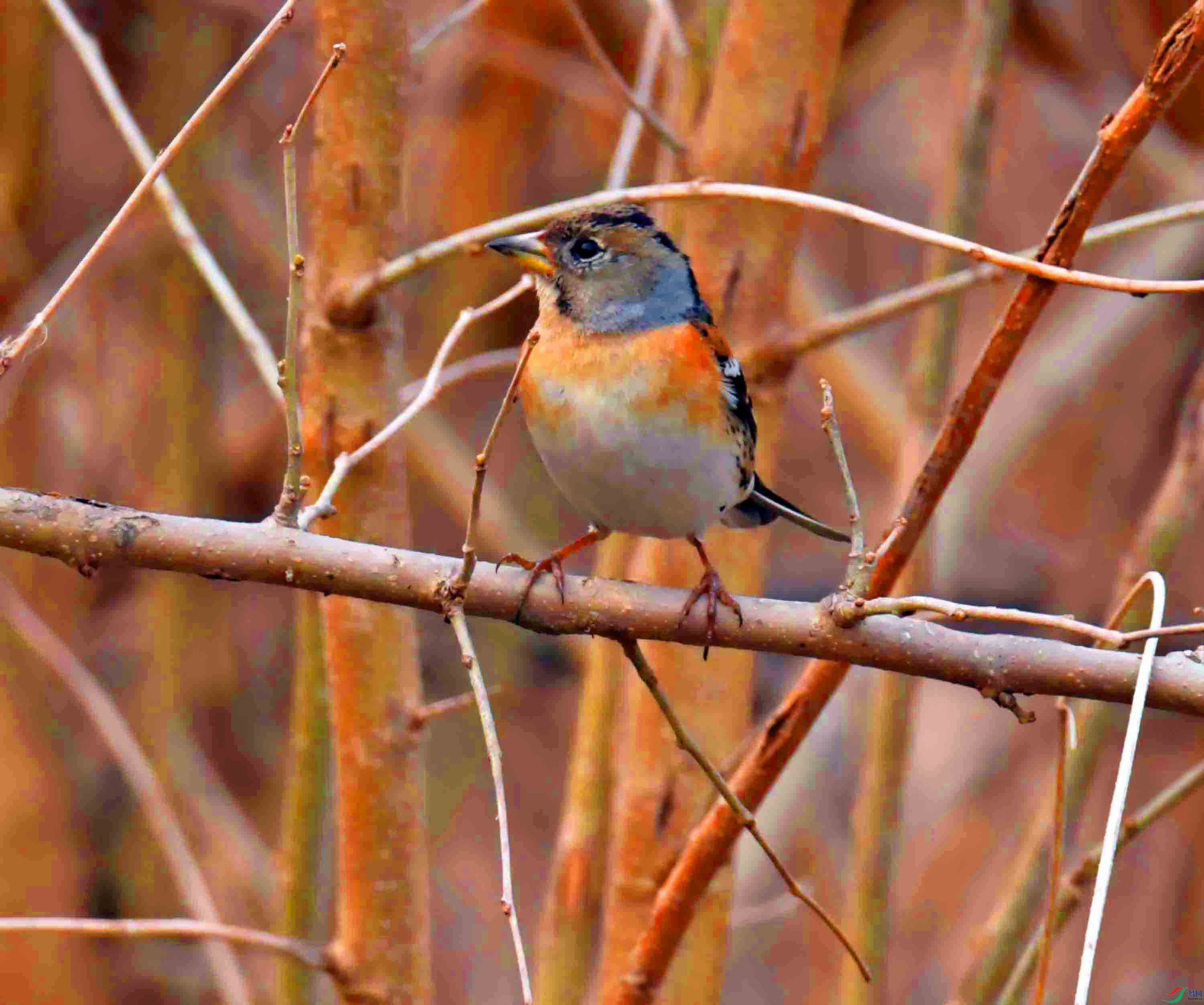 DSC_6026.JPG