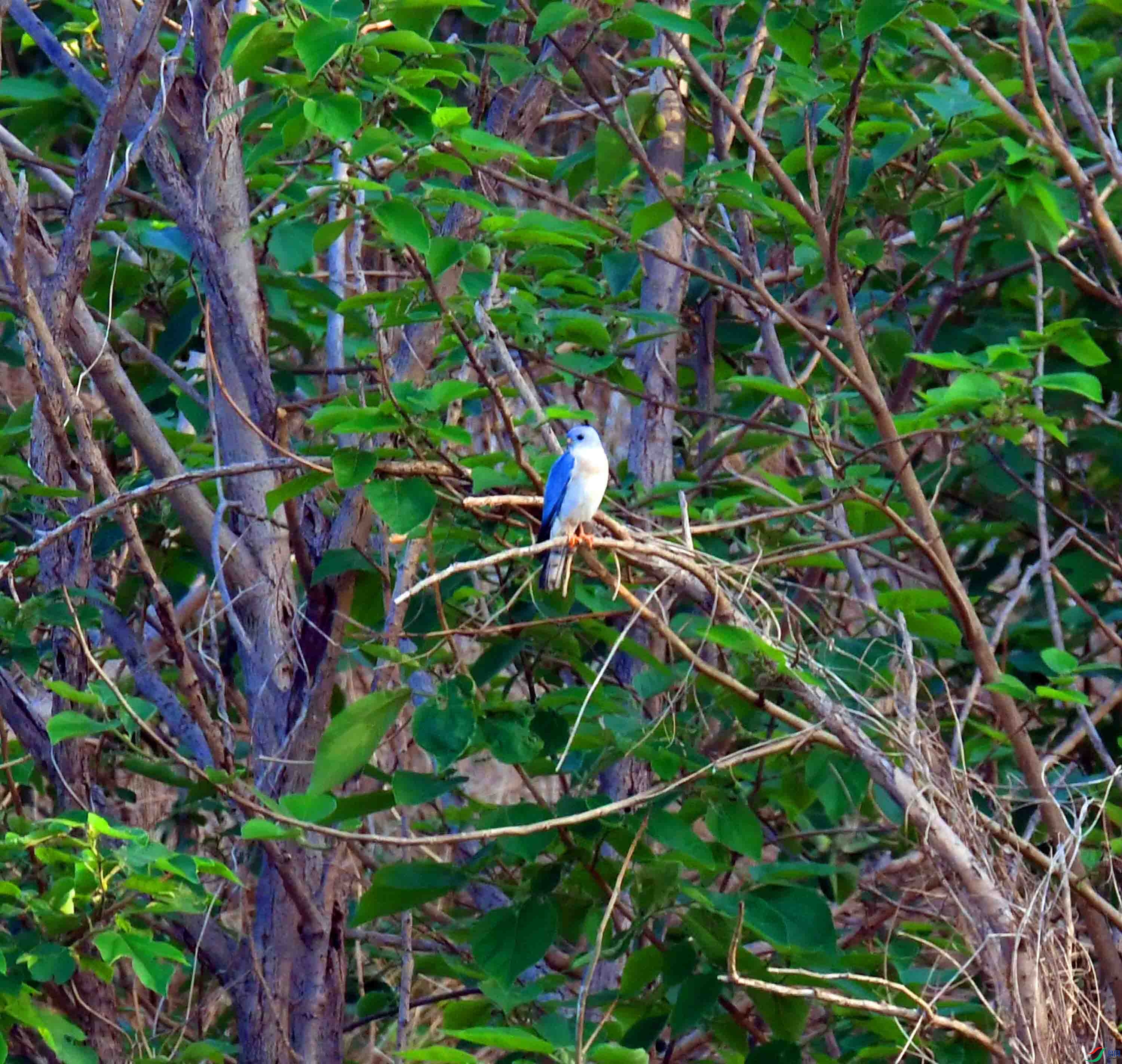 DSC_3061.JPG