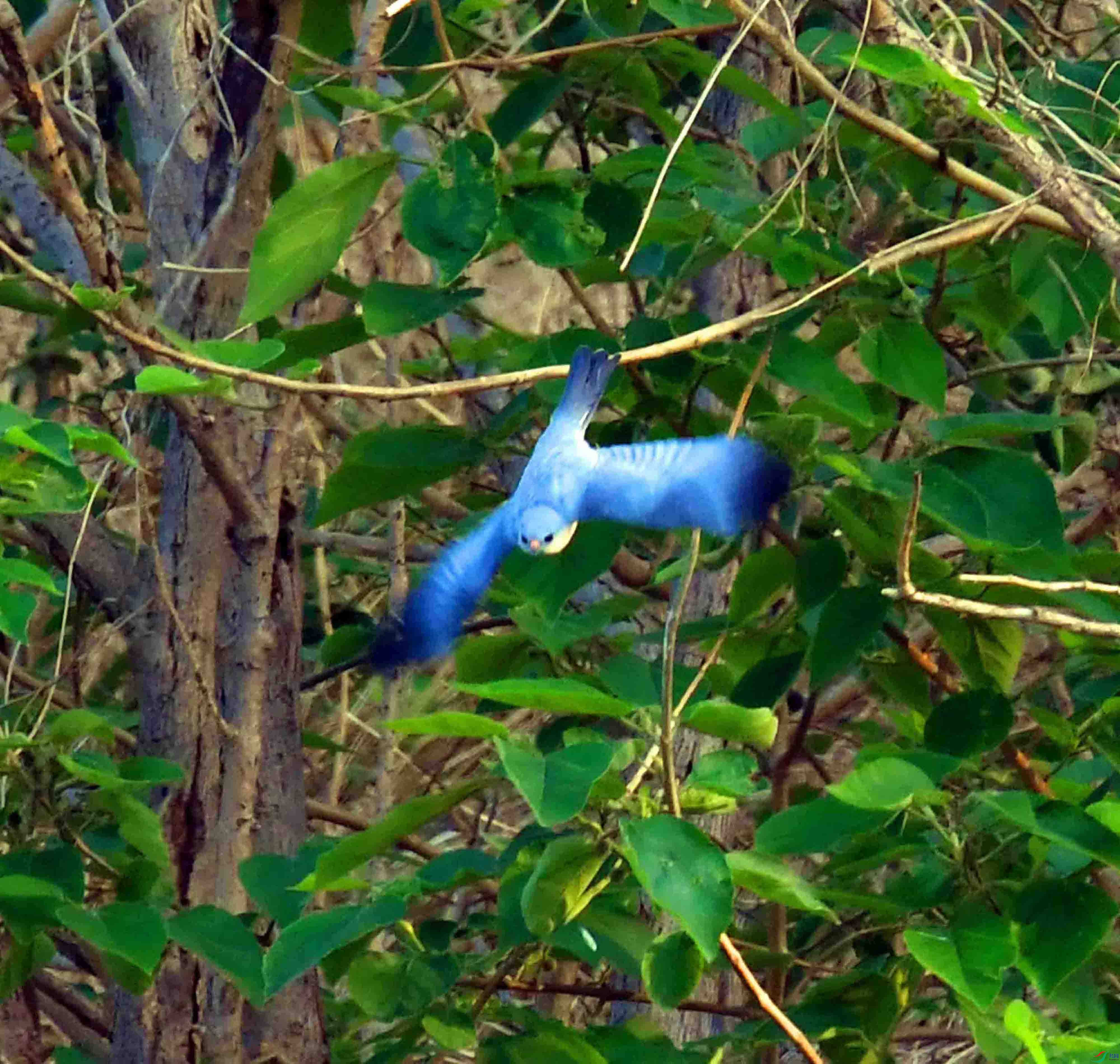 DSC_3069.JPG