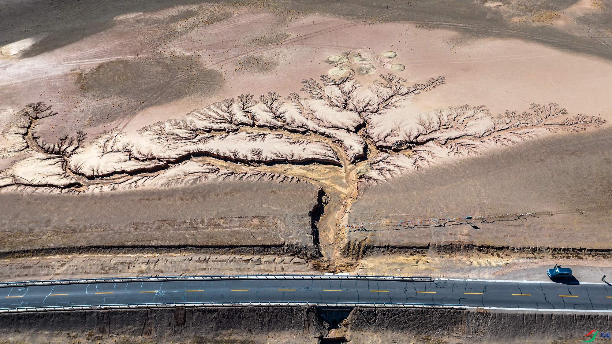 DJI_20241111124638_0216_D-1_����.jpg