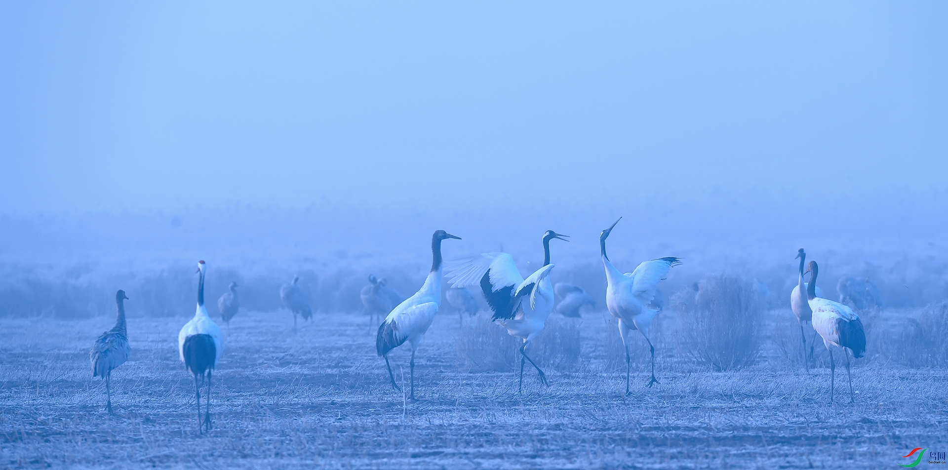 DSC_4057_DxOa.jpg