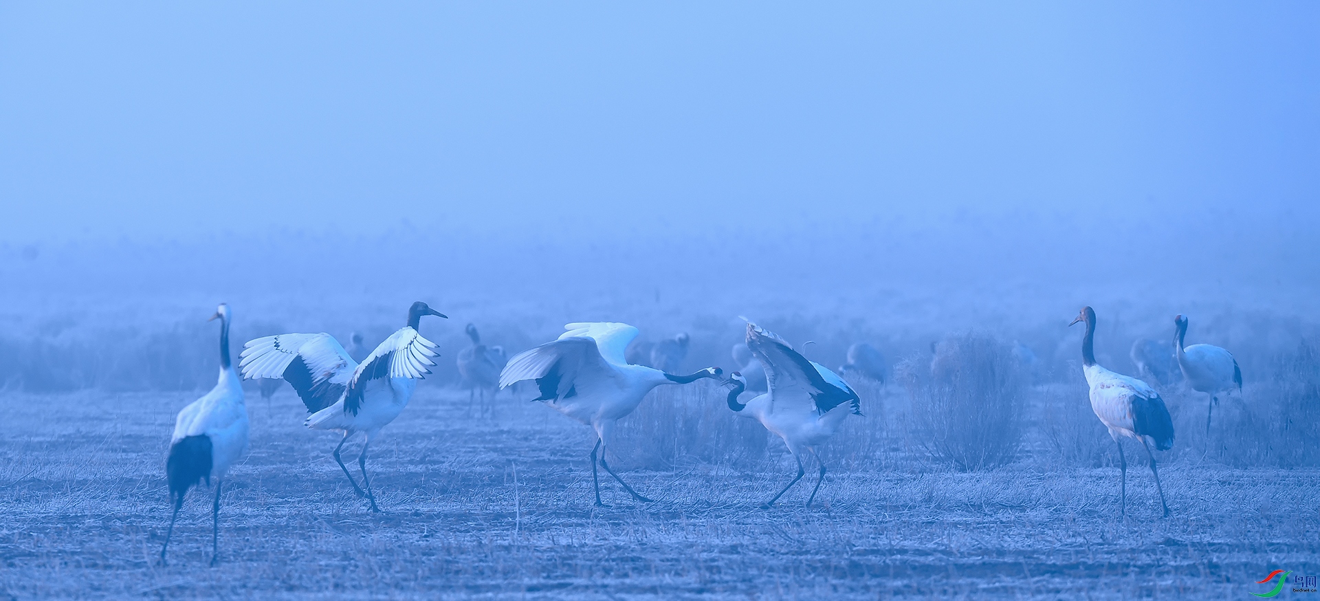 DSC_4047_DxOa.jpg