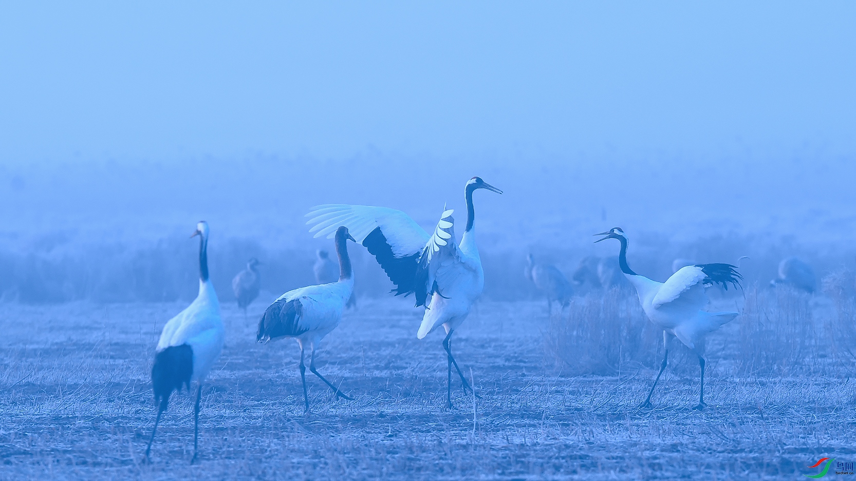 DSC_4042_DxOa.jpg