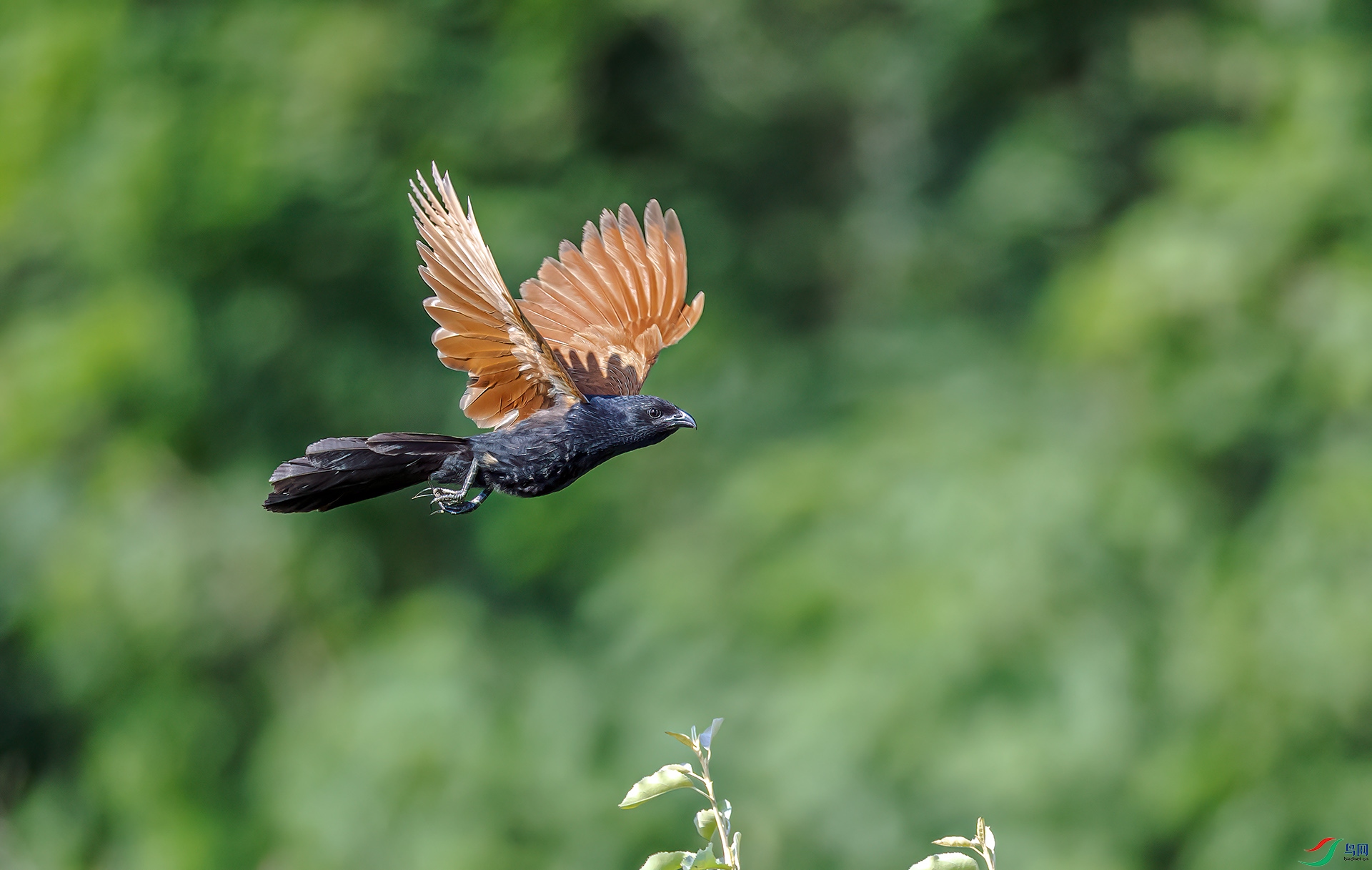 _C2A4914 ����.jpg