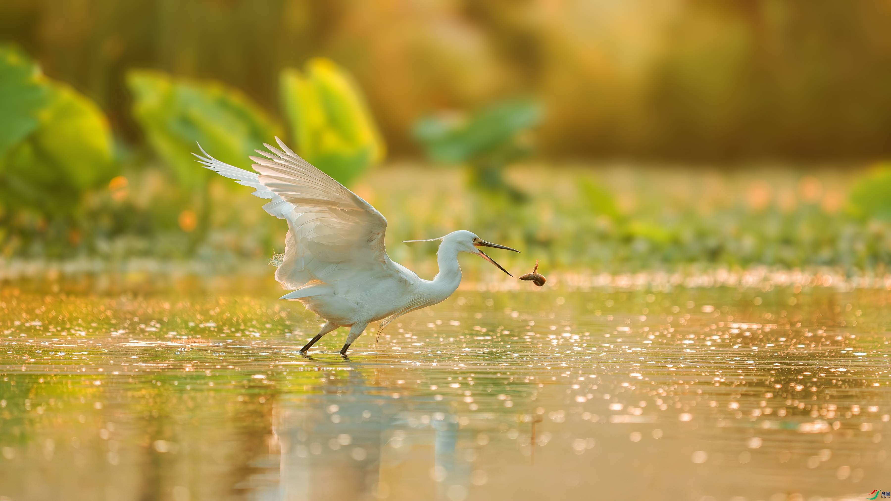 _DSC2676 ����.jpg