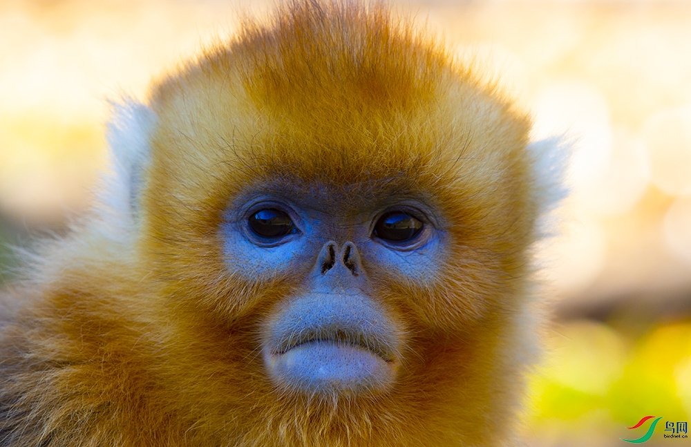 ��˿�� (8).jpg